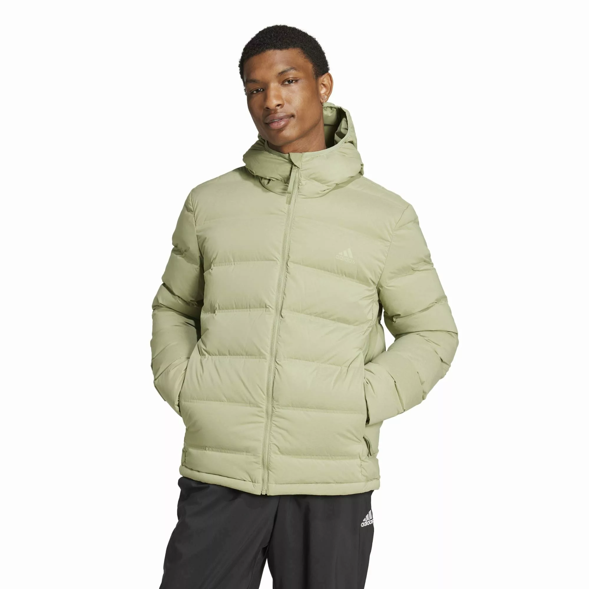 adidas Performance Daunenjacke adidas Herren Daunenjacke günstig online kaufen