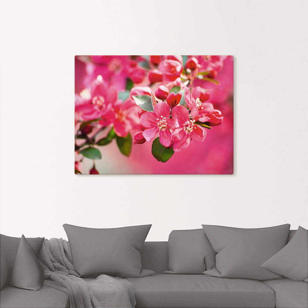 Artland Leinwandbild "Holzapfelblüte 1", Blumen, (1 St.), auf Keilrahmen ge günstig online kaufen