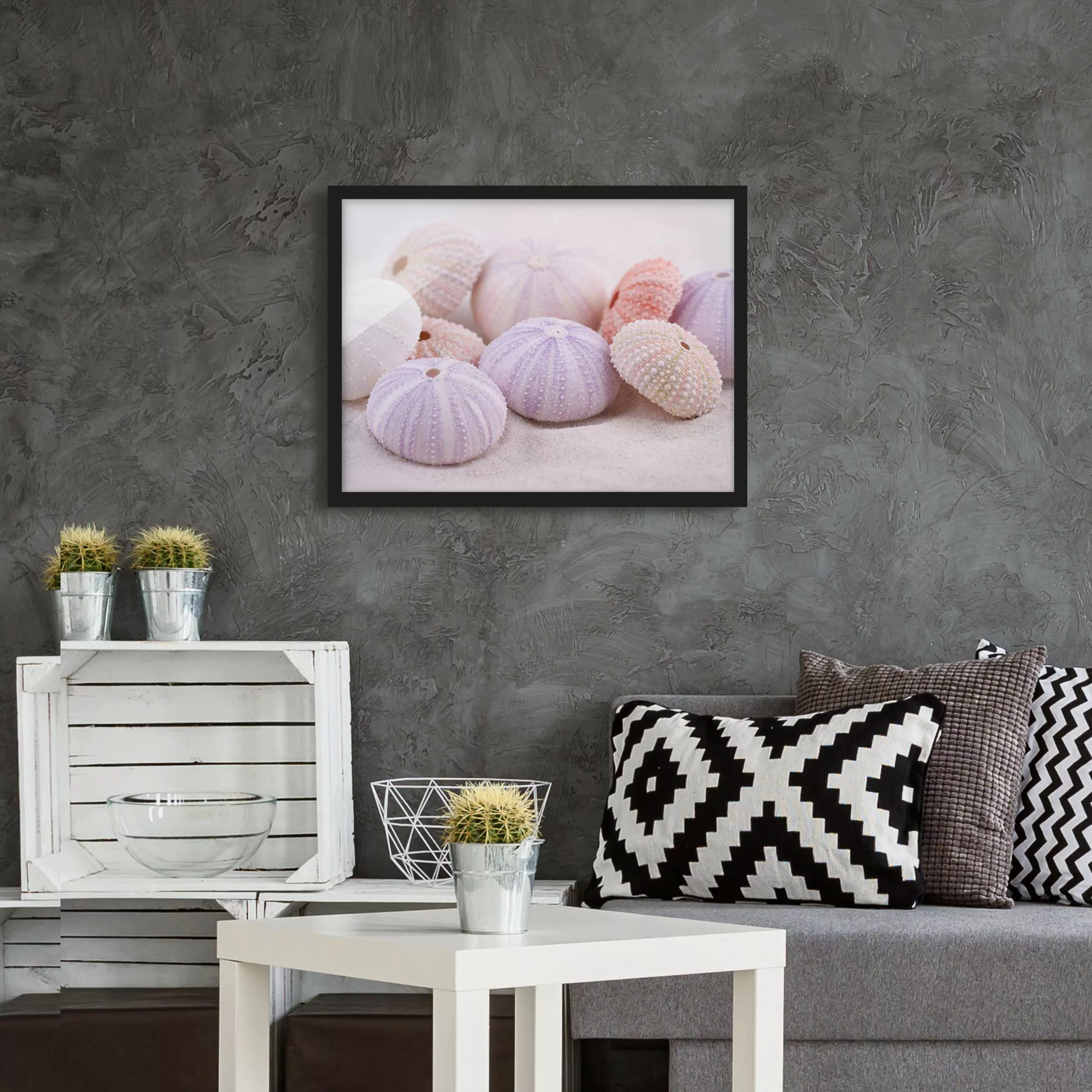 Bild mit Rahmen Tiere - Querformat Seeigel in Pastell günstig online kaufen