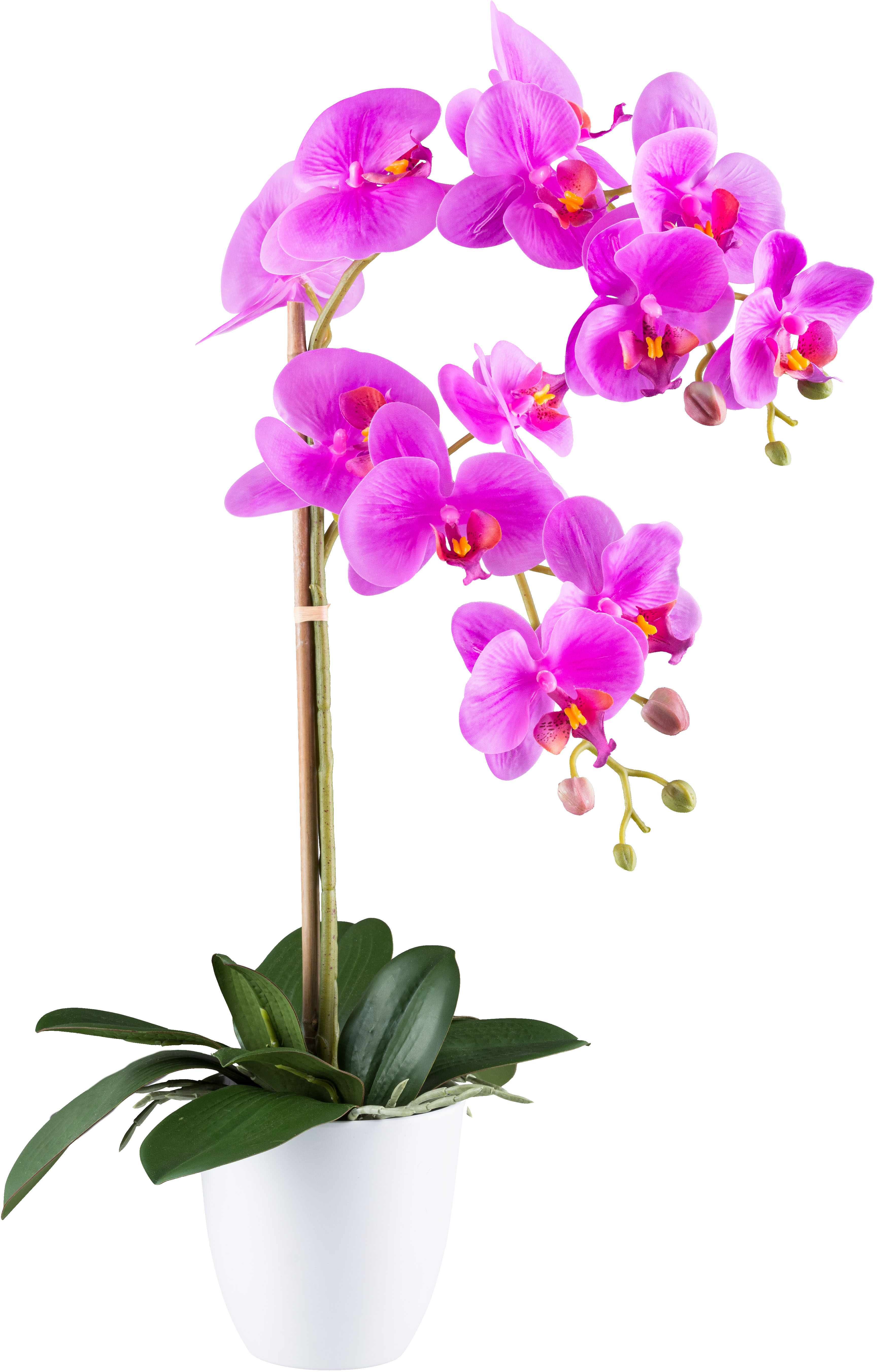 Creativ green Kunstorchidee "Orchidee Phalaenopsis", mit real-touch-Blüten günstig online kaufen