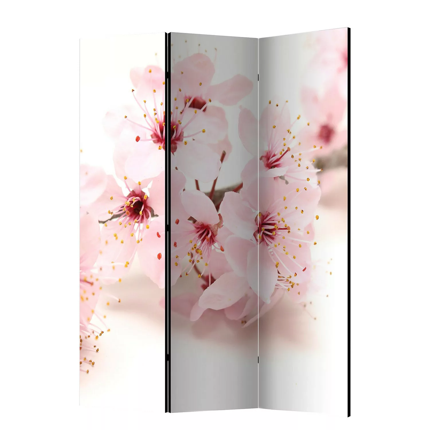 home24 Paravent Cherry Blossom günstig online kaufen