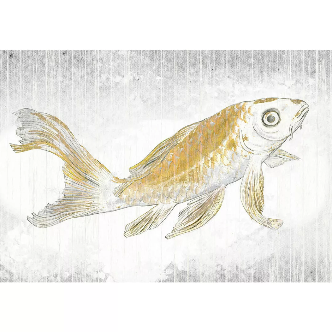 Komar Fototapete Golden Koi B/L: ca. 400x280 cm günstig online kaufen