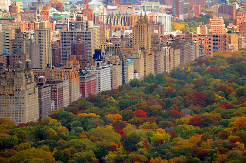 Papermoon Fototapete »Central Park« günstig online kaufen