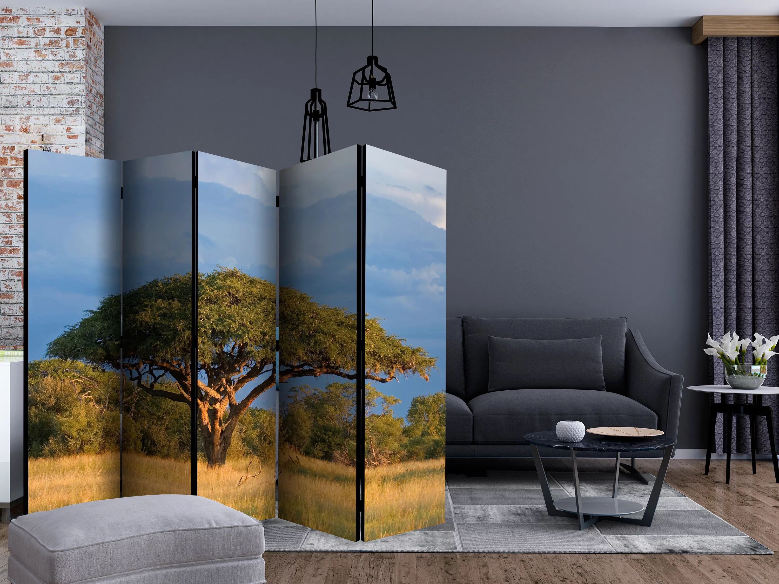 5-teiliges Paravent - African Acacia Tree, Hwange National Park, Zimbabwe I günstig online kaufen