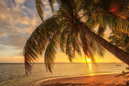 Papermoon Fototapete »PALMEN-STRAND-KARIBIK SÜDSEE MEER DÜNEN SONNE OZEAN X günstig online kaufen