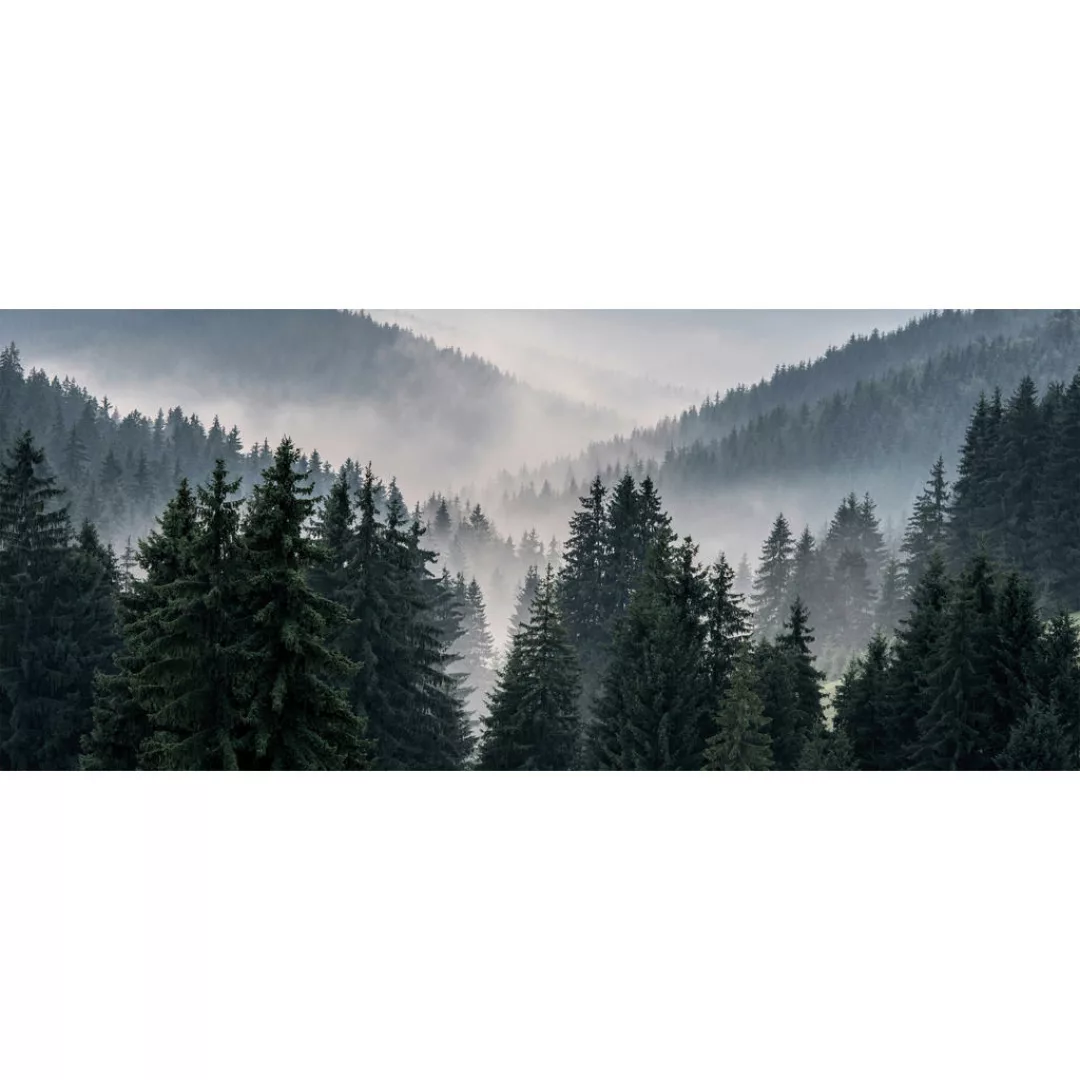 Bönninghoff Keilrahmenbild Wald B/H/L: ca. 60x2,3x140 cm günstig online kaufen