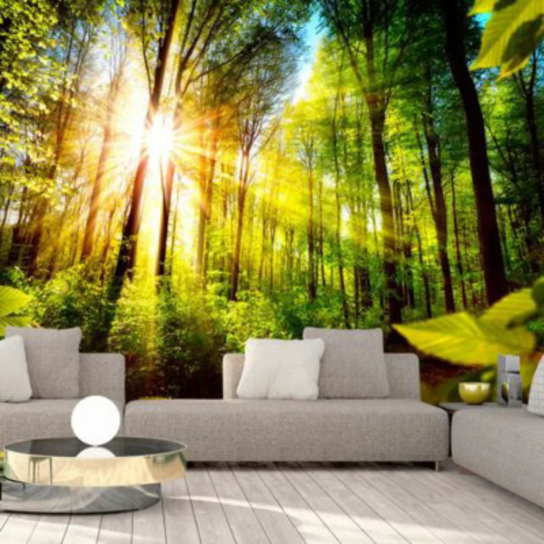 artgeist Fototapete Forest Hideout mehrfarbig Gr. 150 x 105 günstig online kaufen