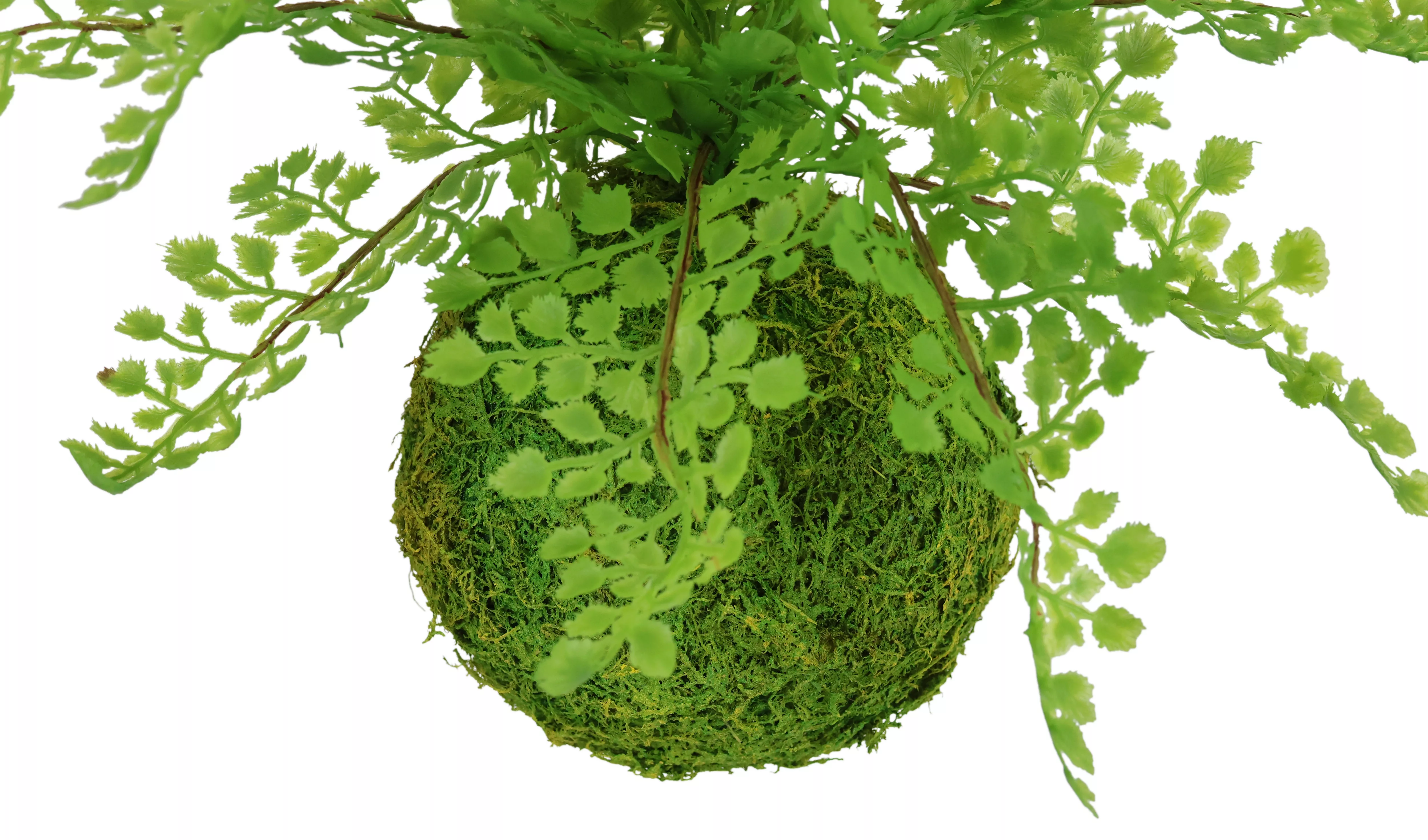 I.GE.A. Kunstpflanze "Farnbusch auf Mooskugel", Künstliche Pflanze Waldfarn günstig online kaufen