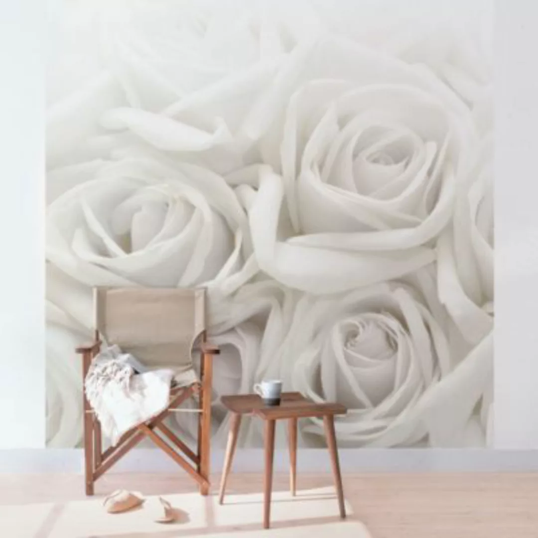 Bilderwelten Blumentapete Weiße Rosen weiß Gr. 336 x 336 günstig online kaufen