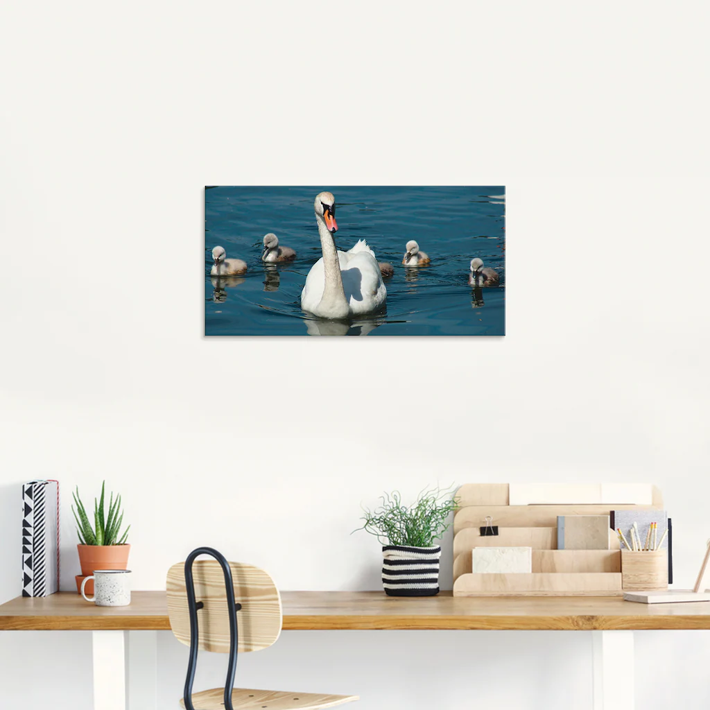 Artland Glasbild "Höckerschwan Familie", Vögel, (1 St.), in verschiedenen G günstig online kaufen