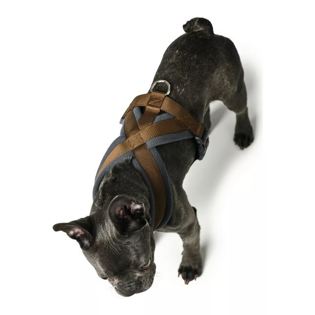 Hunter Hunde-Geschirr Geschirr London Comfort günstig online kaufen