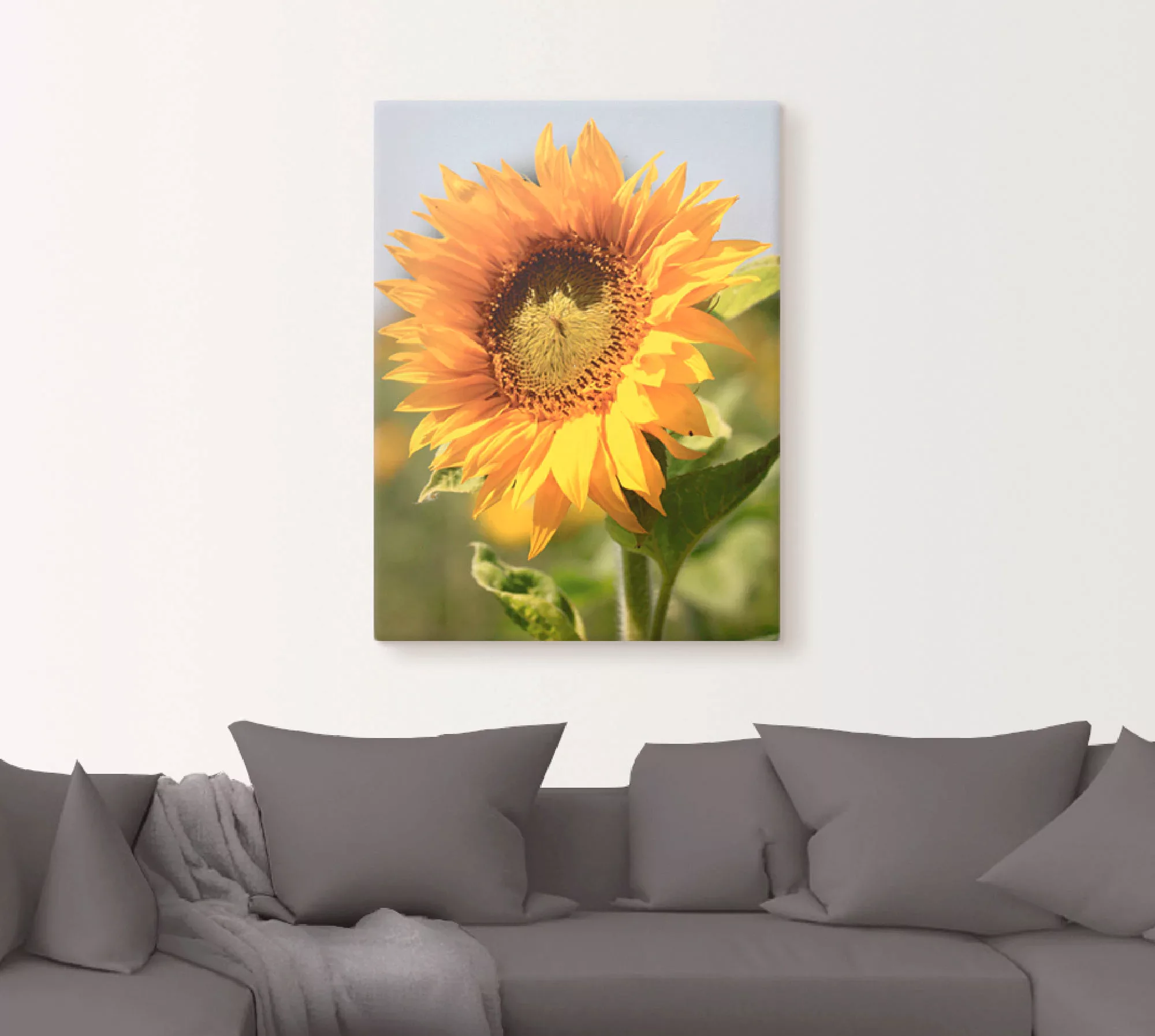 Artland Wandbild »Sonnenblume«, Blumen, (1 St.), als Leinwandbild, Poster, günstig online kaufen