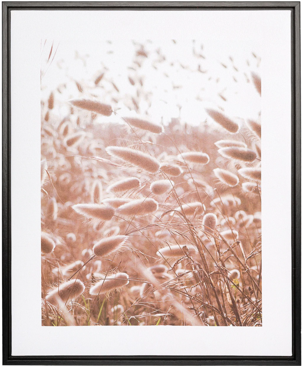 Creativ home Bild mit Rahmen "Leinwandbild Grasblüten", (1 St.), mit Rahmen günstig online kaufen