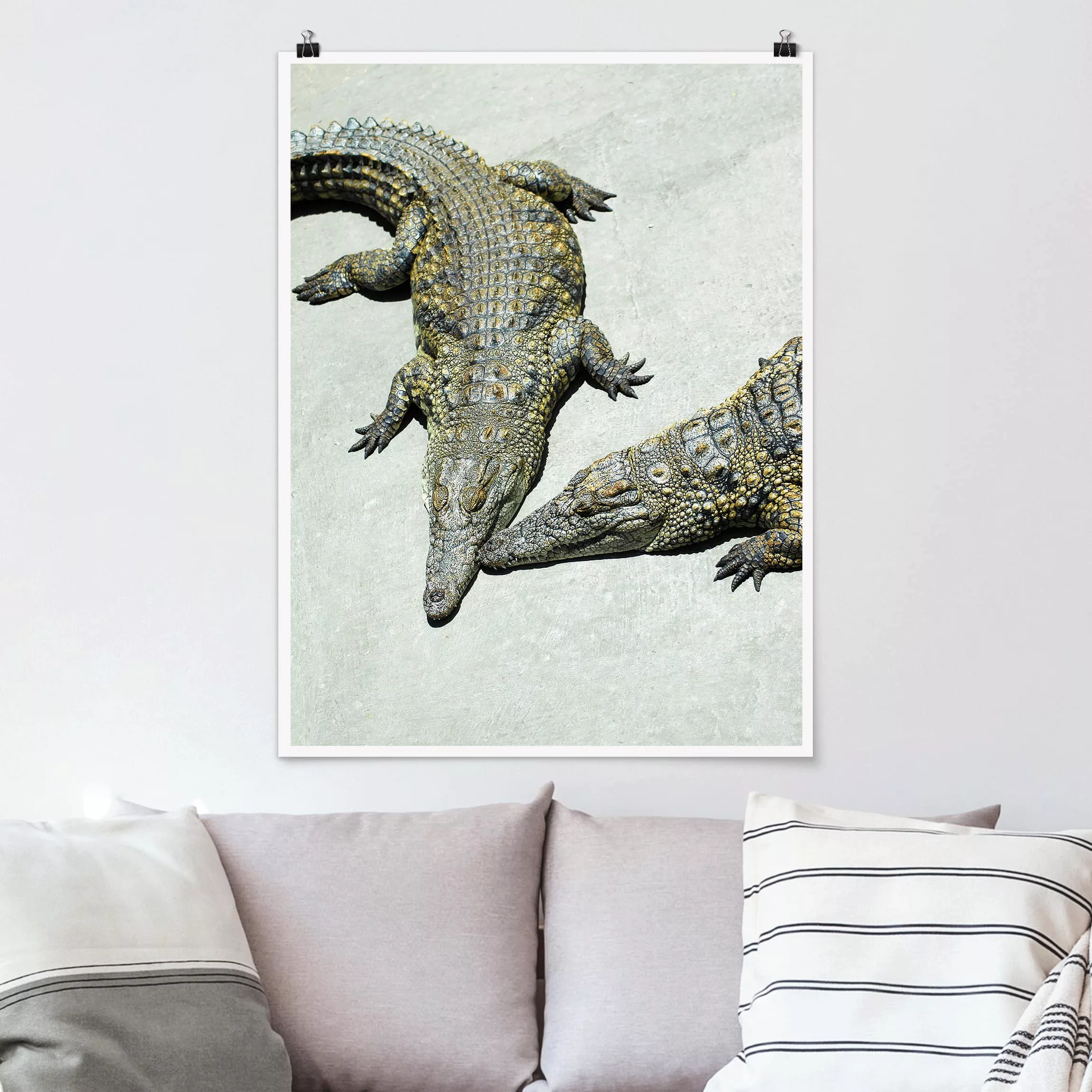 Poster Tiere - Hochformat Crocodile Romance günstig online kaufen