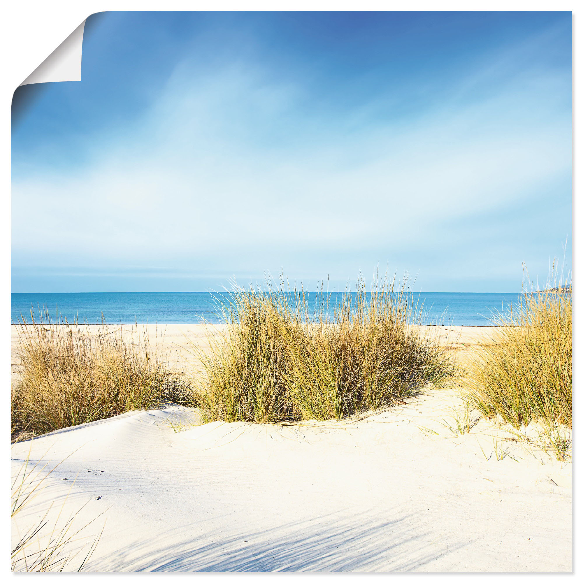 Artland Wandbild "Gras auf Sanddünen", Strand, (1 St.), als Leinwandbild, P günstig online kaufen