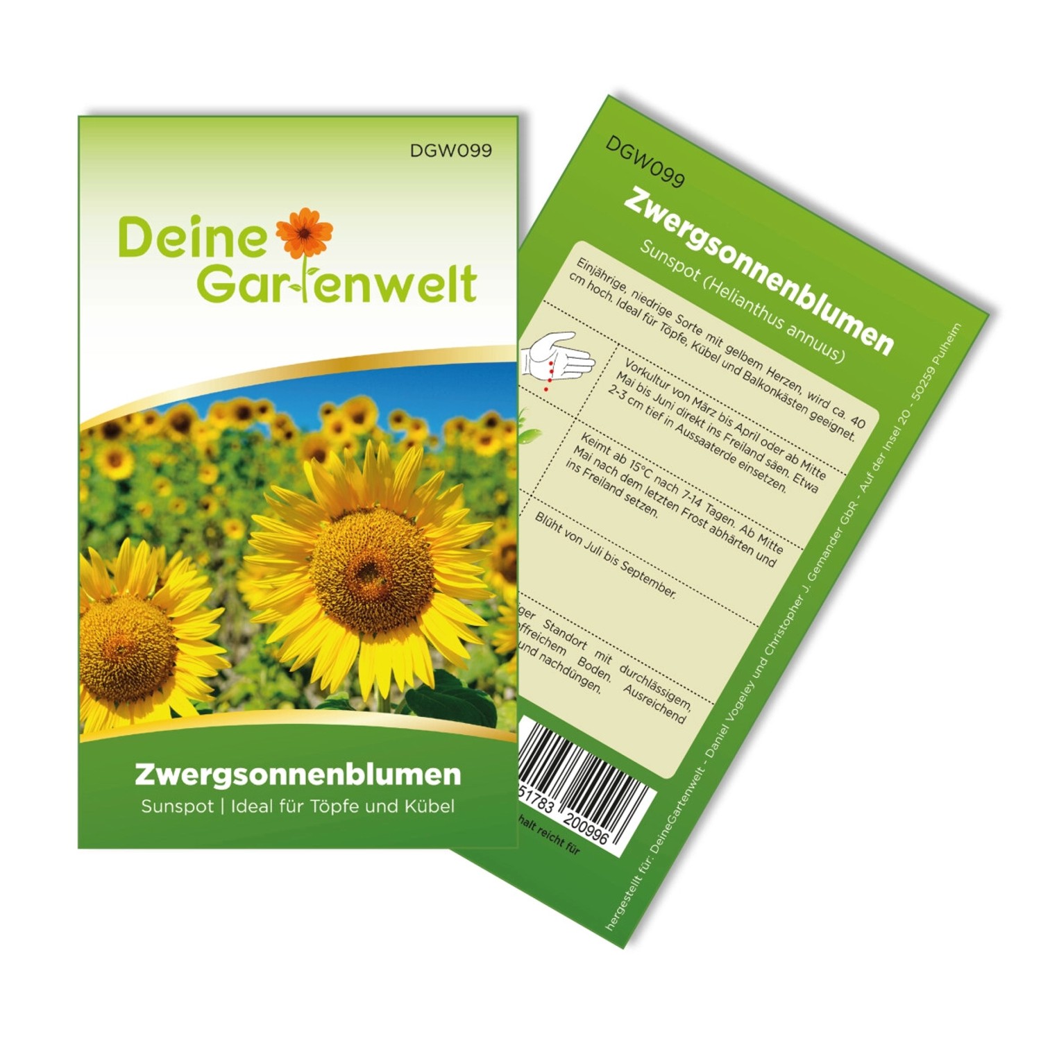 Deine Gartenwelt Zwergsonnenblume Sunspot Samen günstig online kaufen