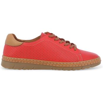 Melluso  Sneaker K70006Z-248112 günstig online kaufen