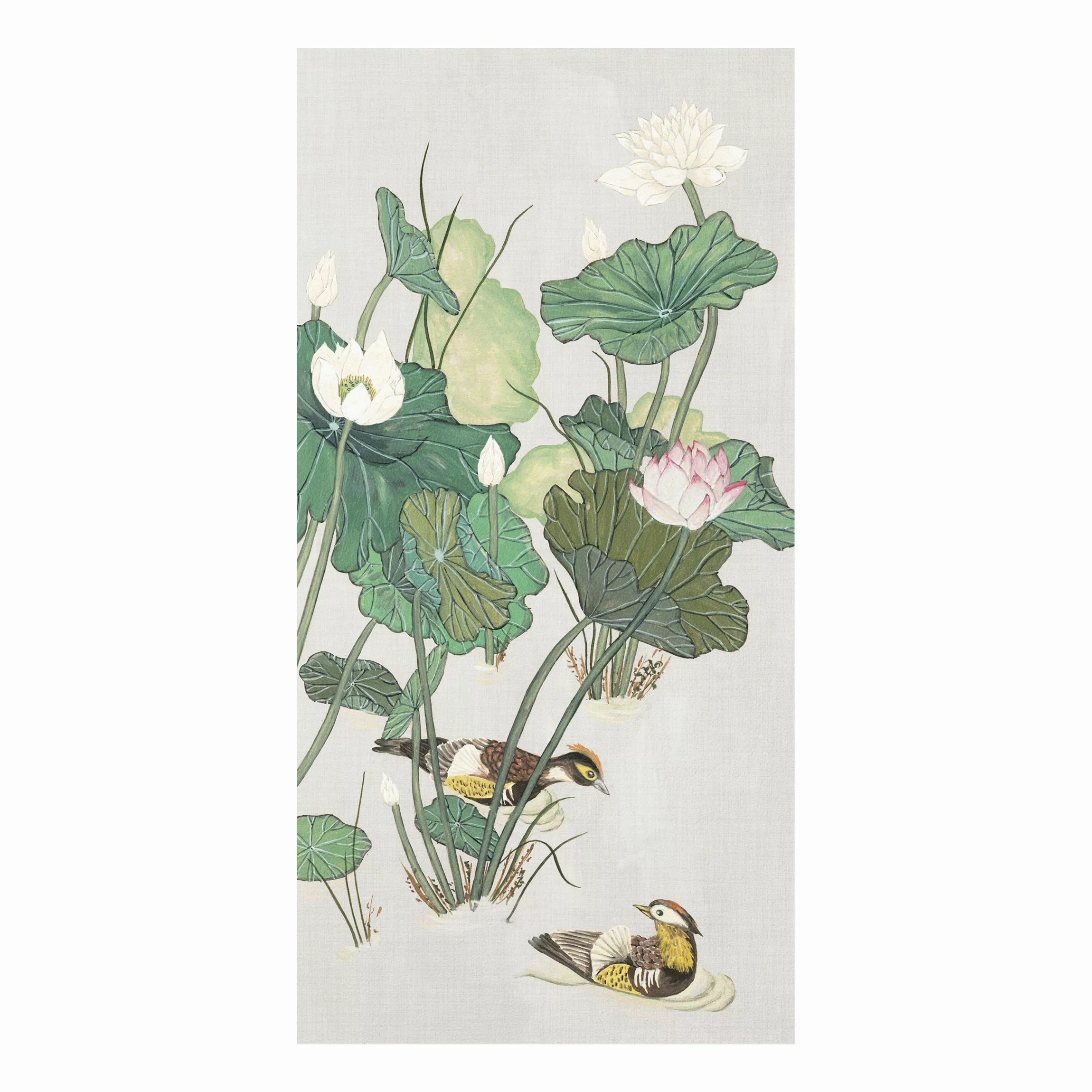 Forexbild Blumen - Querformat Vintage Illustration Lotusblüten im Teich günstig online kaufen