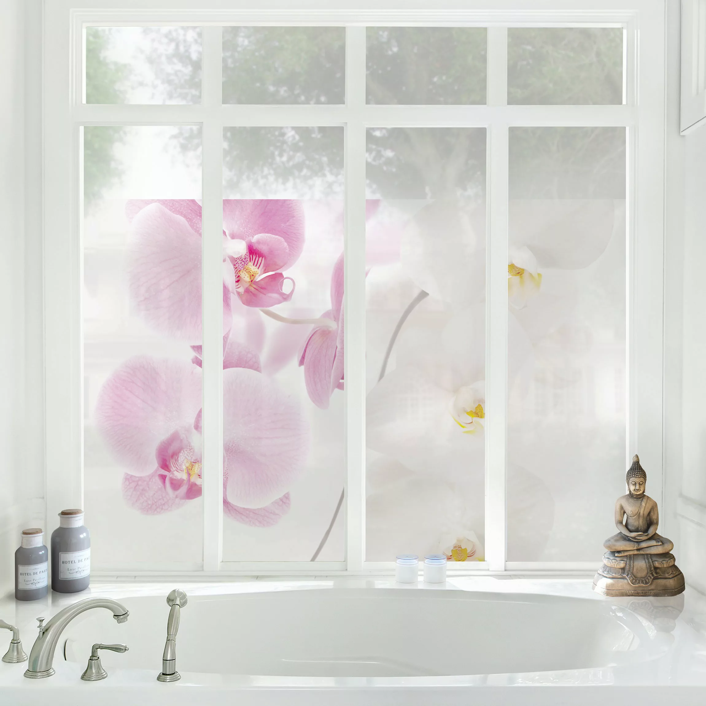 Fensterfolie Delicate Orchids günstig online kaufen