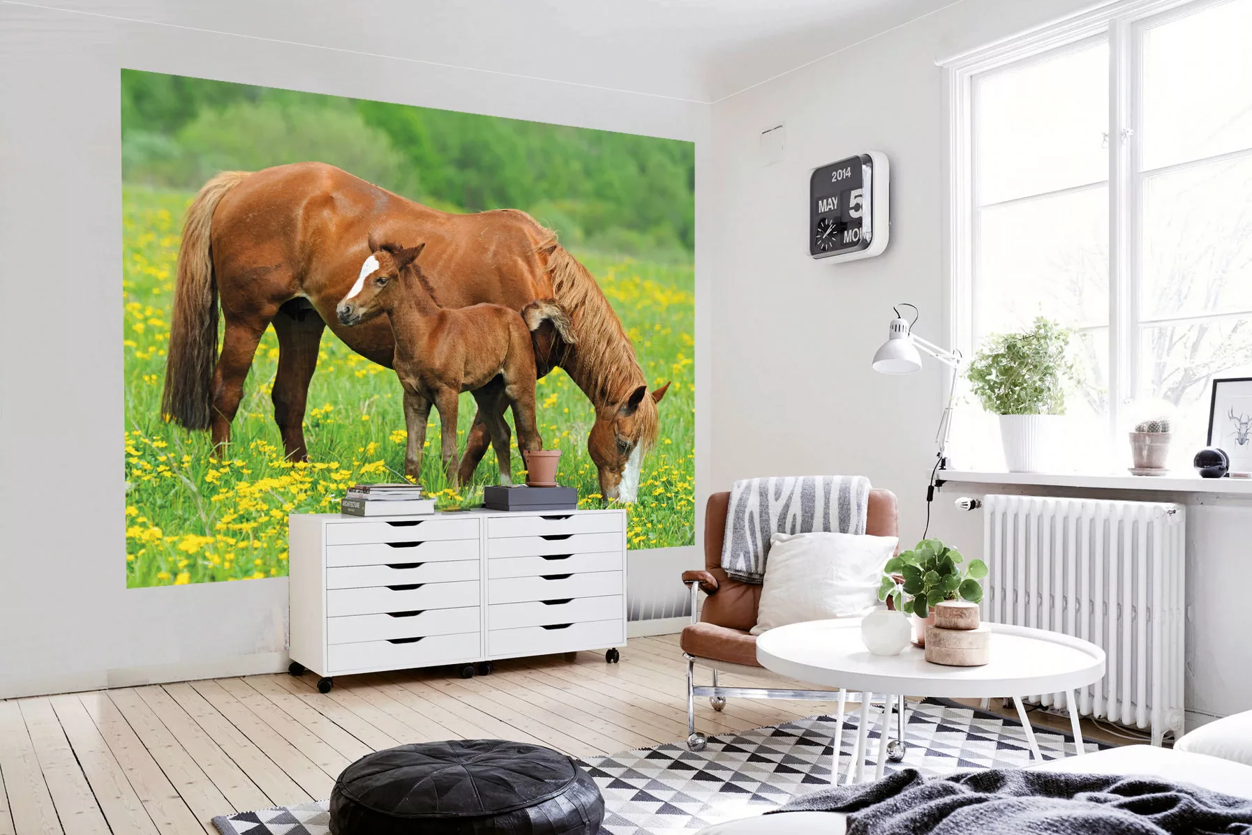 Papermoon Fototapete »Horses«, matt günstig online kaufen