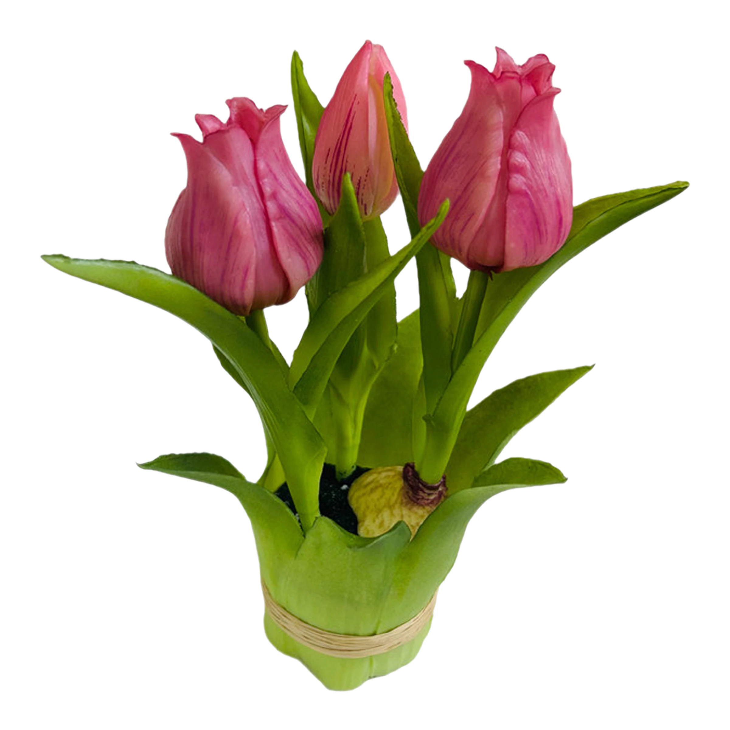 Tulpe im Blatttopf ca. 20cm, pink günstig online kaufen