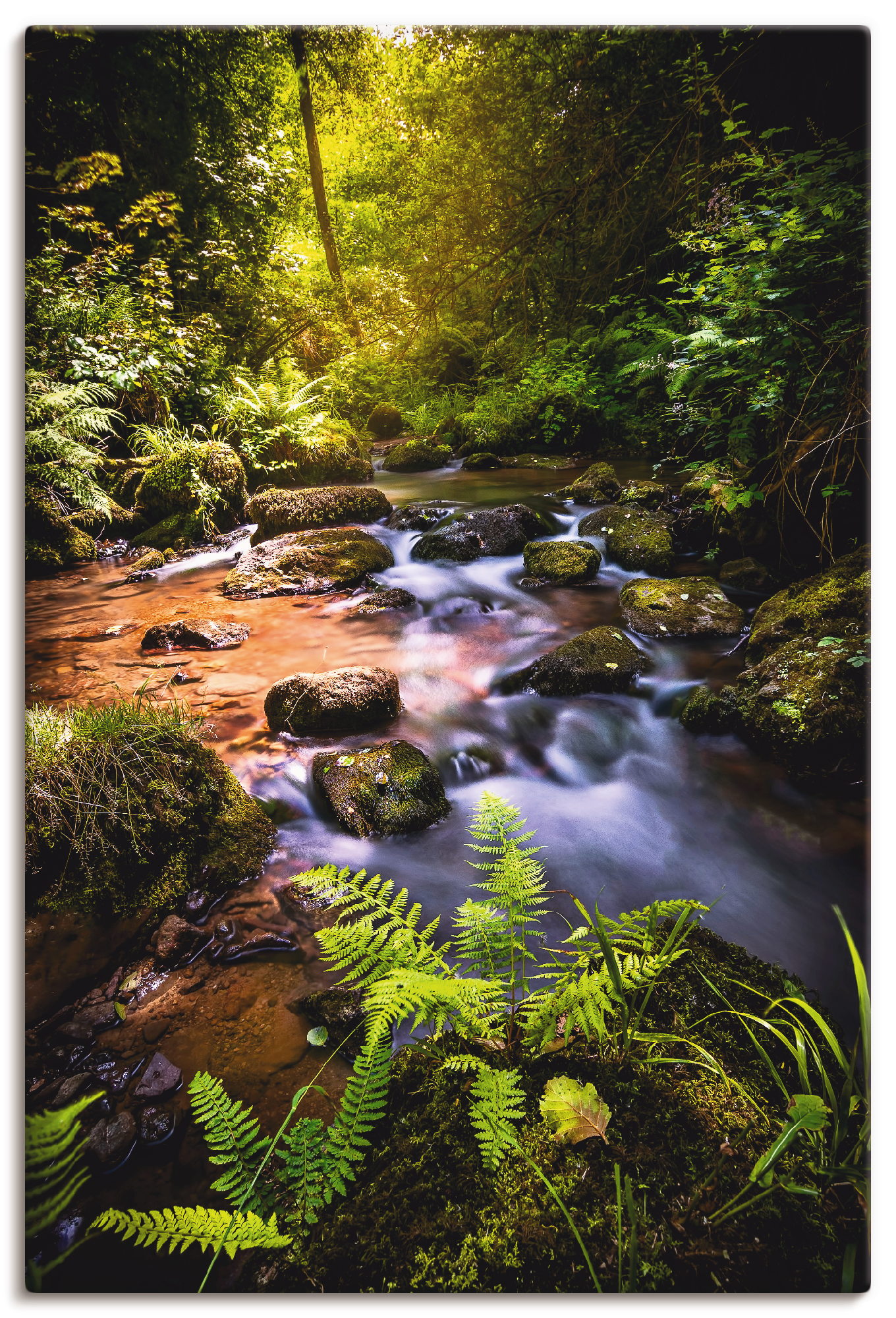 Artland Wandbild "Wildbach im Wald", Gewässer, (1 St.), als Alubild, Outdoo günstig online kaufen