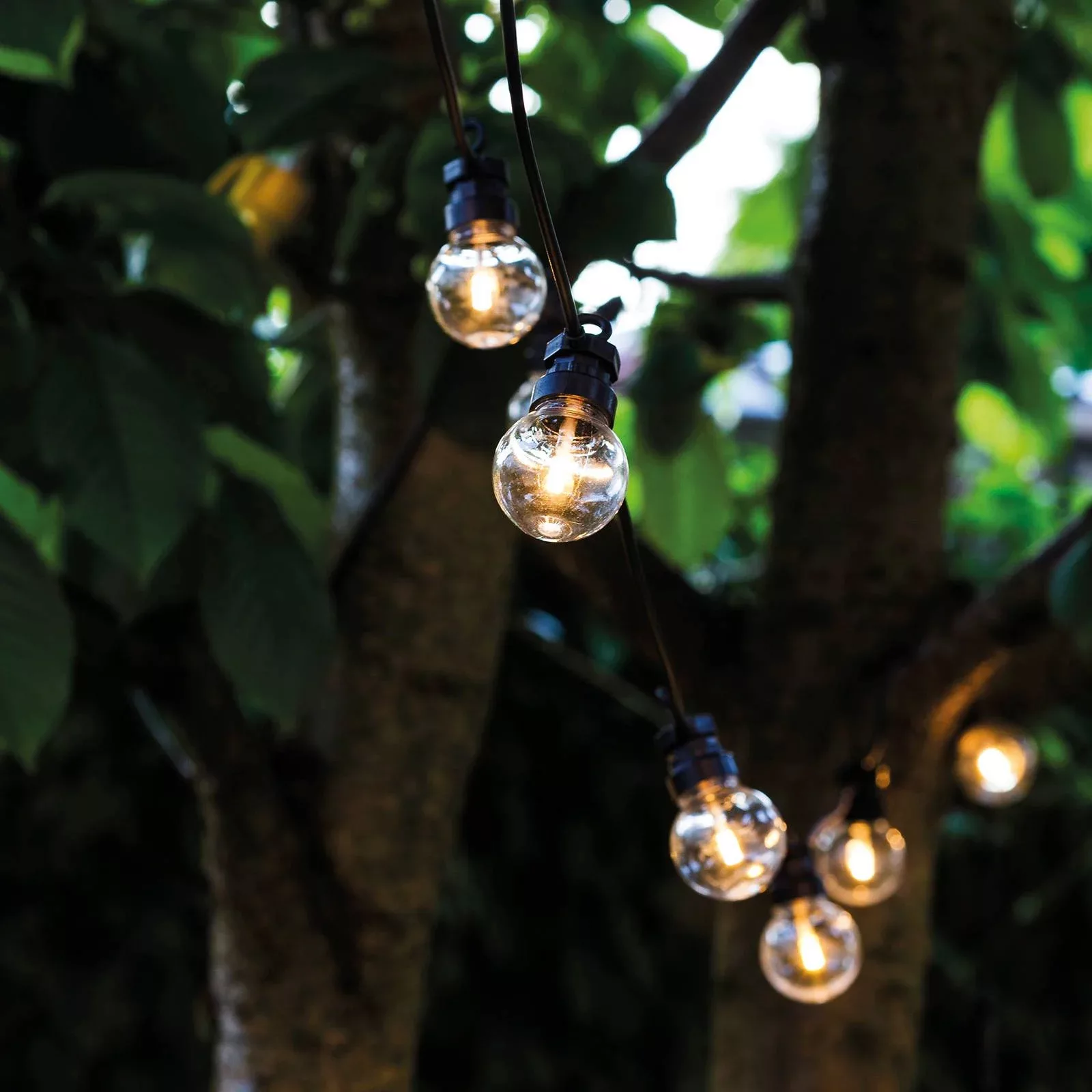 LED-Lichterkette Lucas Start-Set 10-flg. klar günstig online kaufen