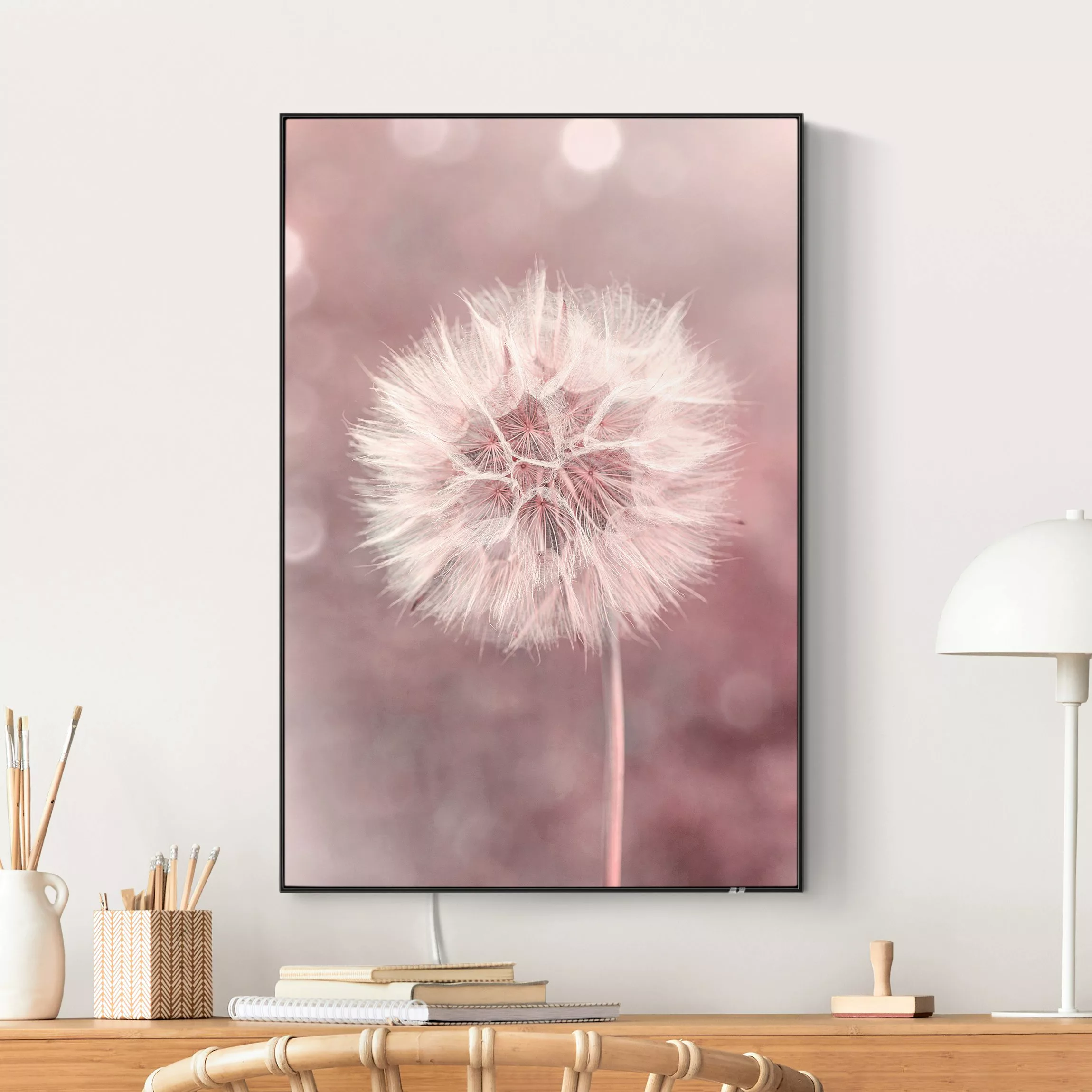 LED-Wechselbild Pusteblume Bokeh rosa günstig online kaufen