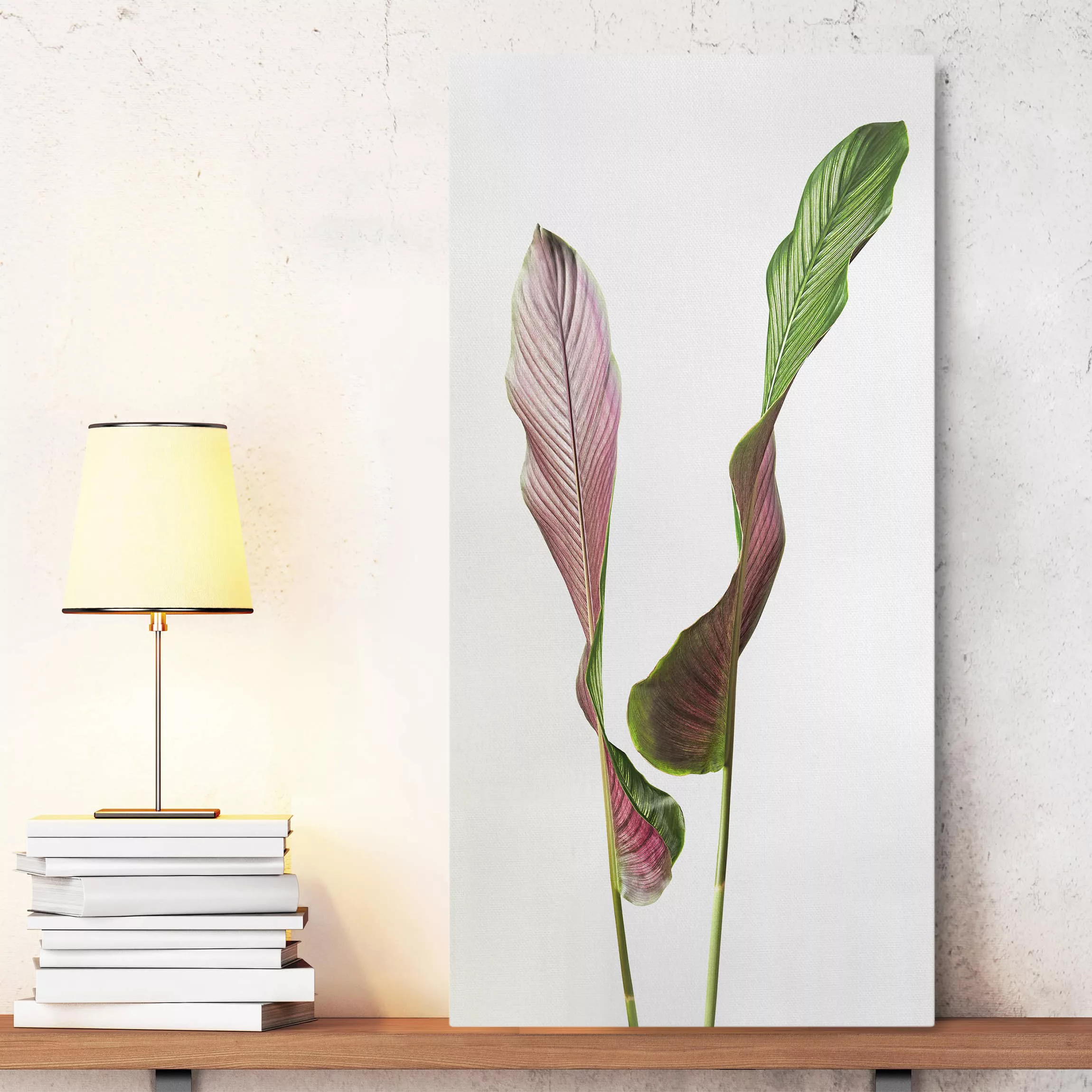 Leinwandbild Küche - Hochformat Blatt Calathea-ornata 02 günstig online kaufen