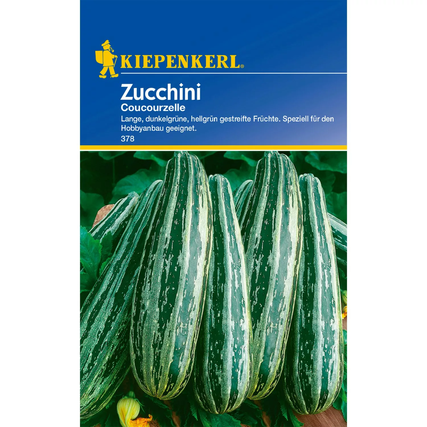 Kiepenkerl Zucchini Coucourzelle günstig online kaufen