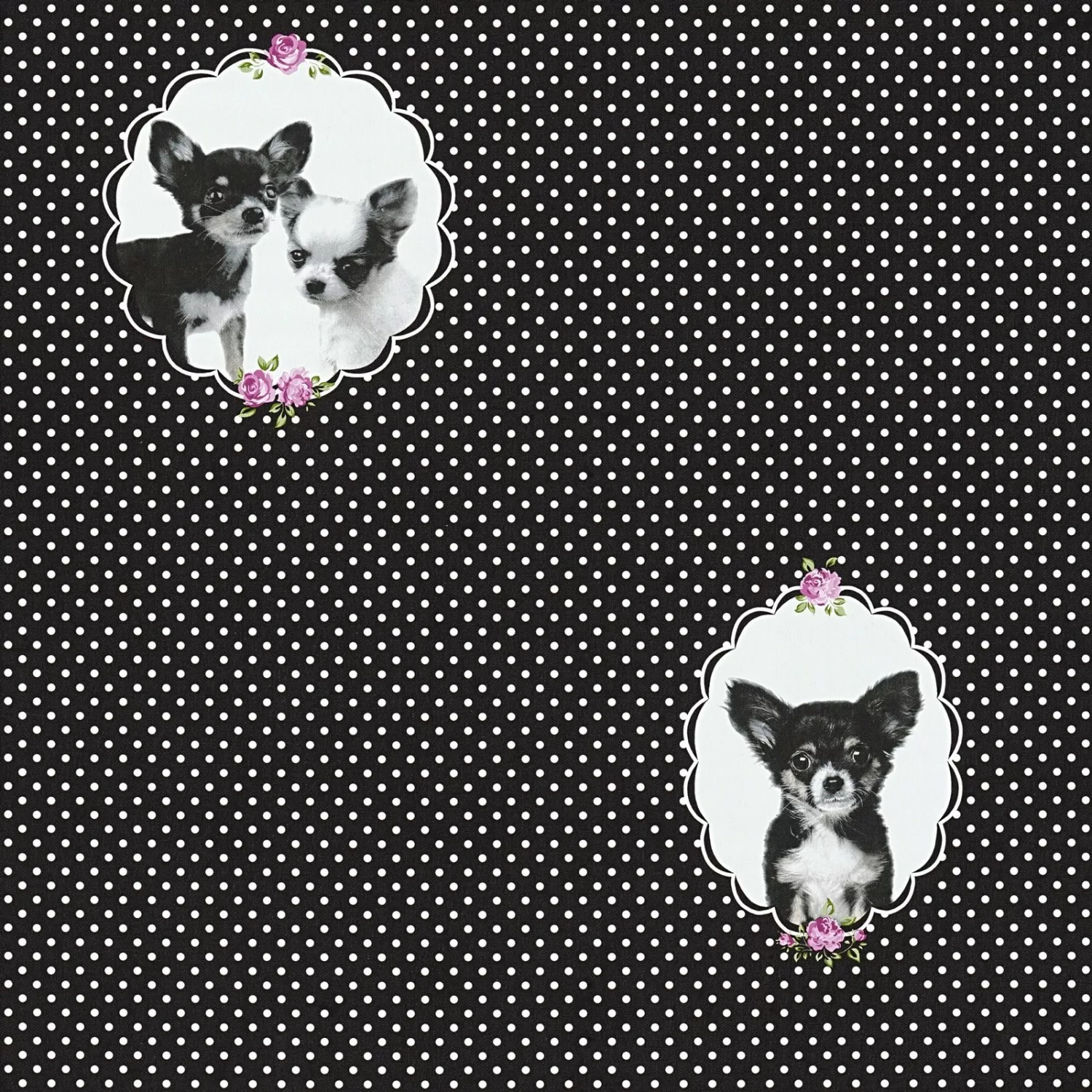 Bricoflor Rosa Punkte Tapete Gepunktete Vliestapete mit Chihuahua 50Er Jahr günstig online kaufen