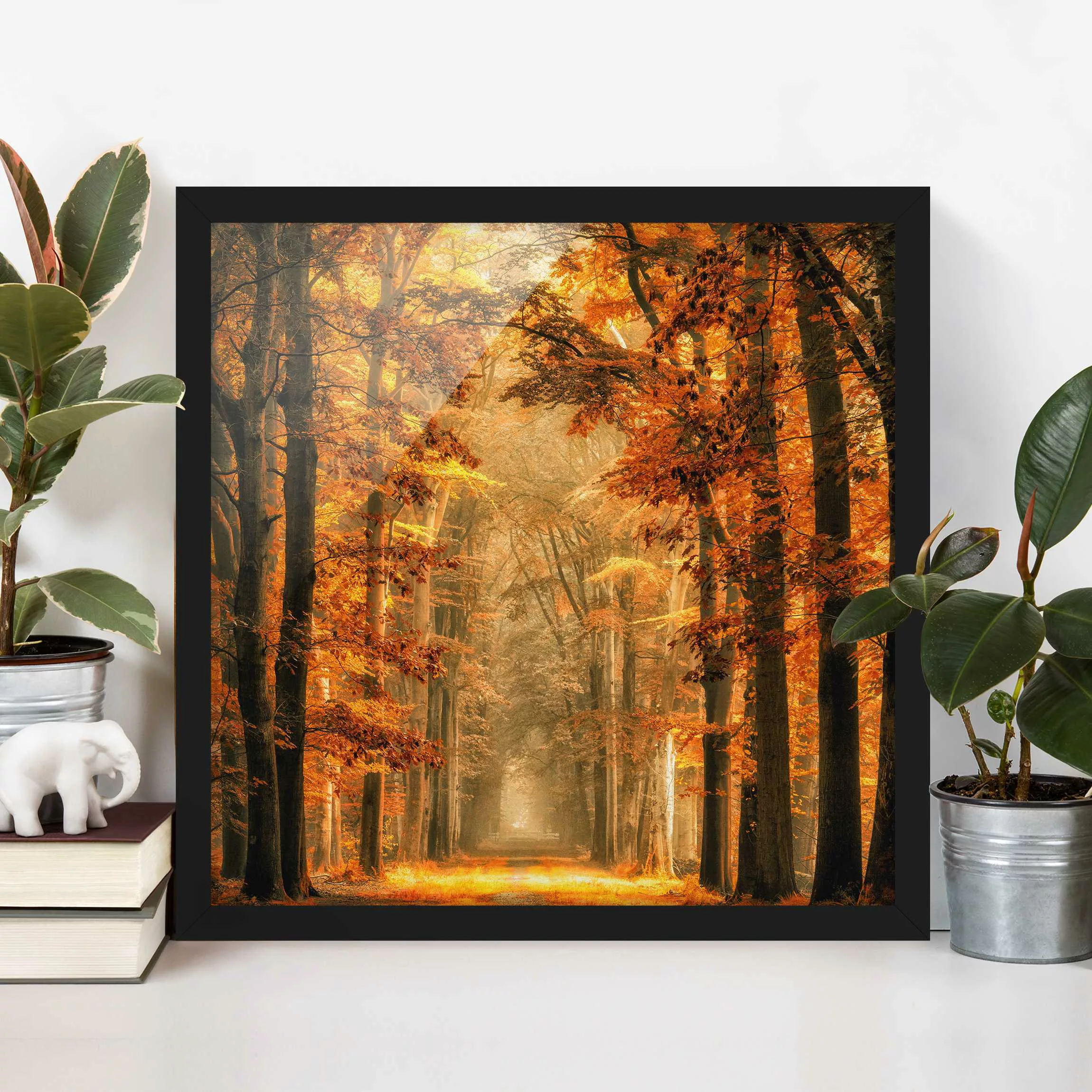 Bild mit Rahmen Natur & Landschaft - Quadrat Märchenwald im Herbst günstig online kaufen