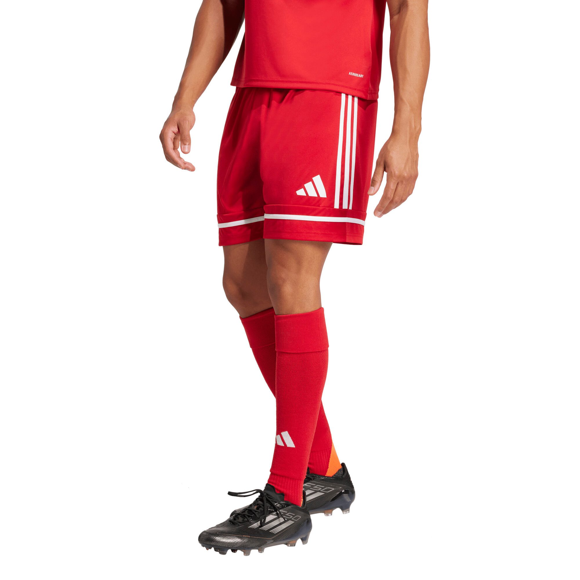 adidas  Shorts Squadra 25 günstig online kaufen