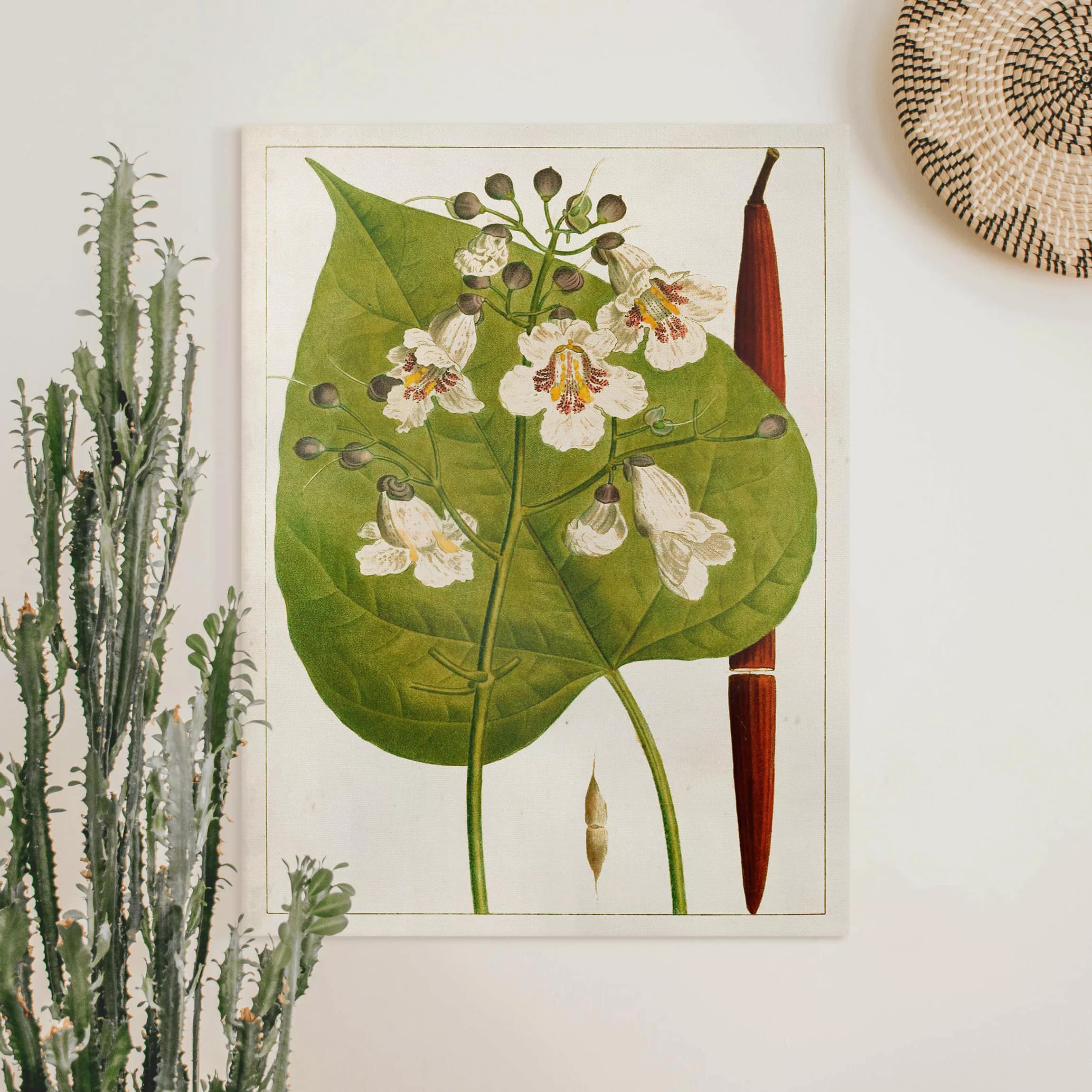 Leinwandbild Botanik - Hochformat Tableau Blatt Blüte Frucht V günstig online kaufen
