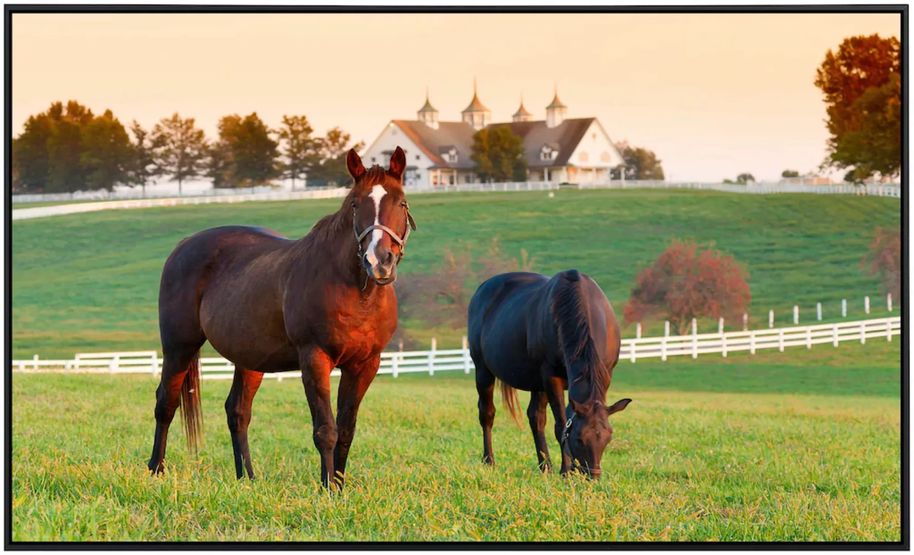 Papermoon Infrarotheizung »Pferde auf Weide« günstig online kaufen