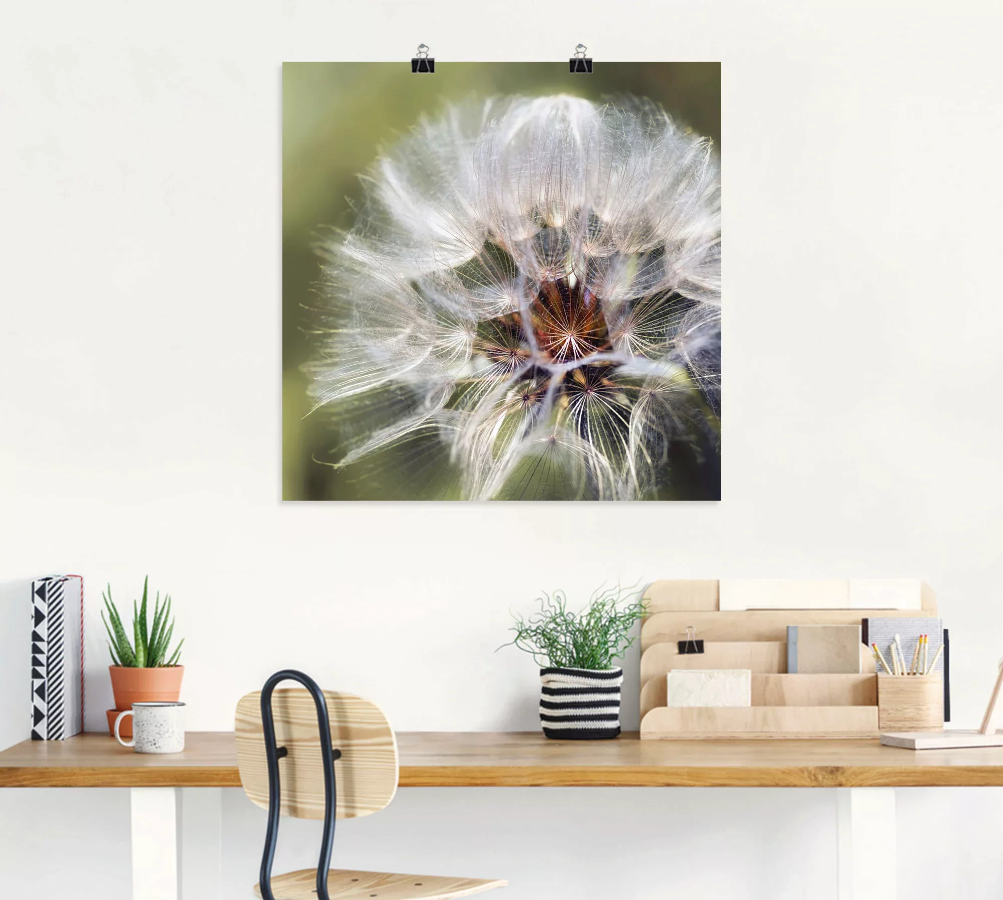 Artland Wandbild "Pusteblume II", Blumen, (1 St.), als Alubild, Outdoorbild günstig online kaufen