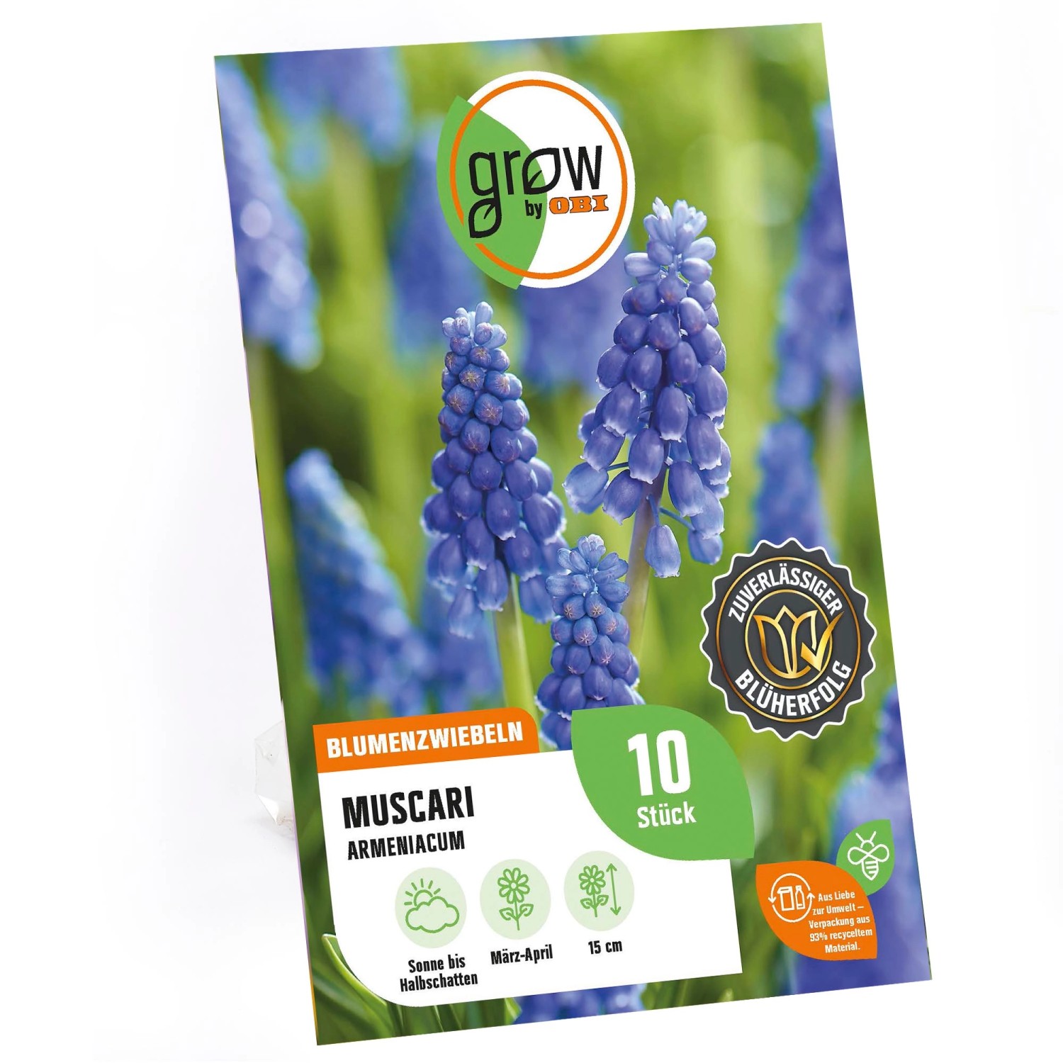 GROW by OBI Traubenhyazinthe Blau 15 cm Muscari armeniacum günstig online kaufen