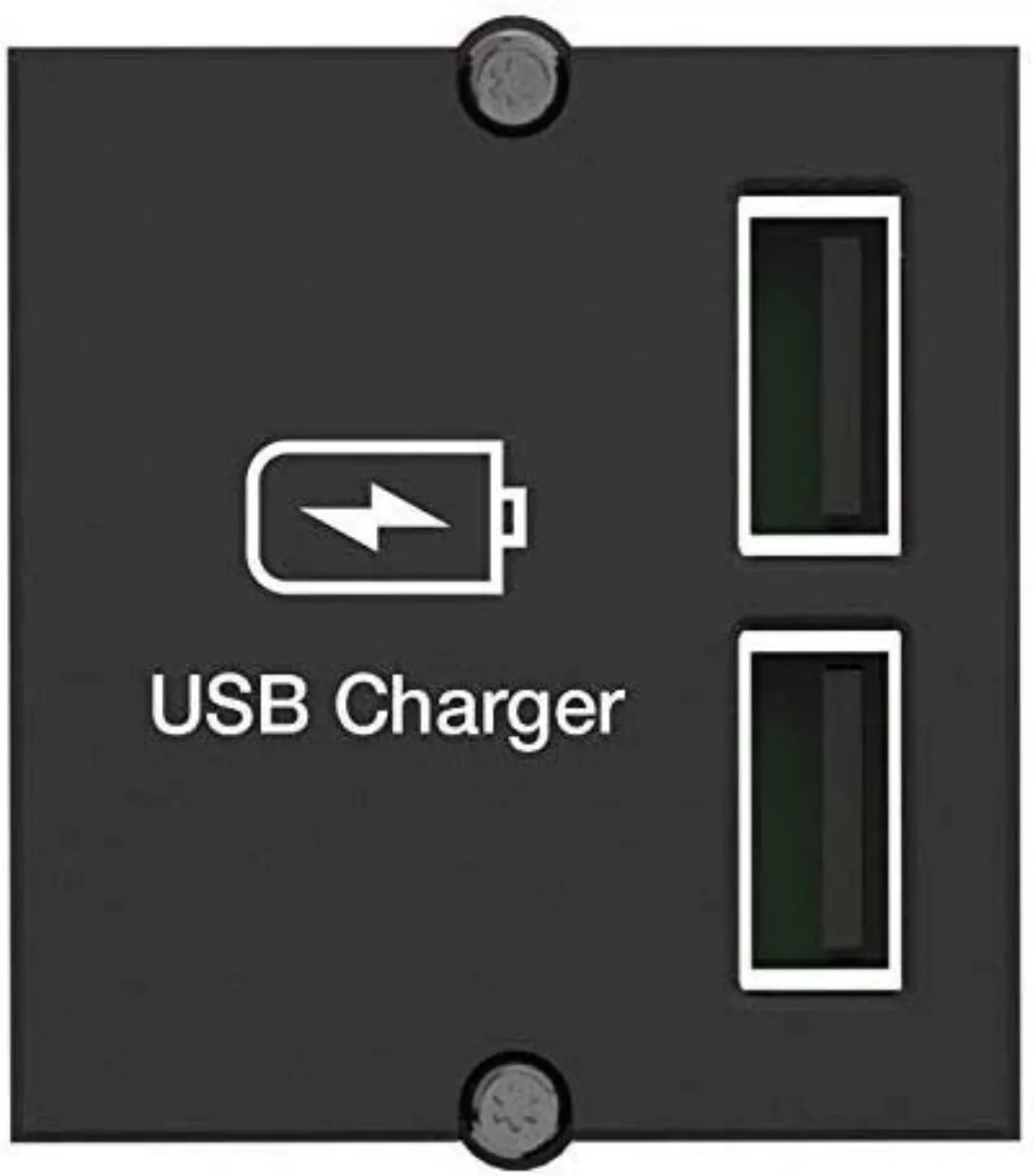 Bachmann Custom Module USB Doppel-Charger 917.224 - 917224 günstig online kaufen