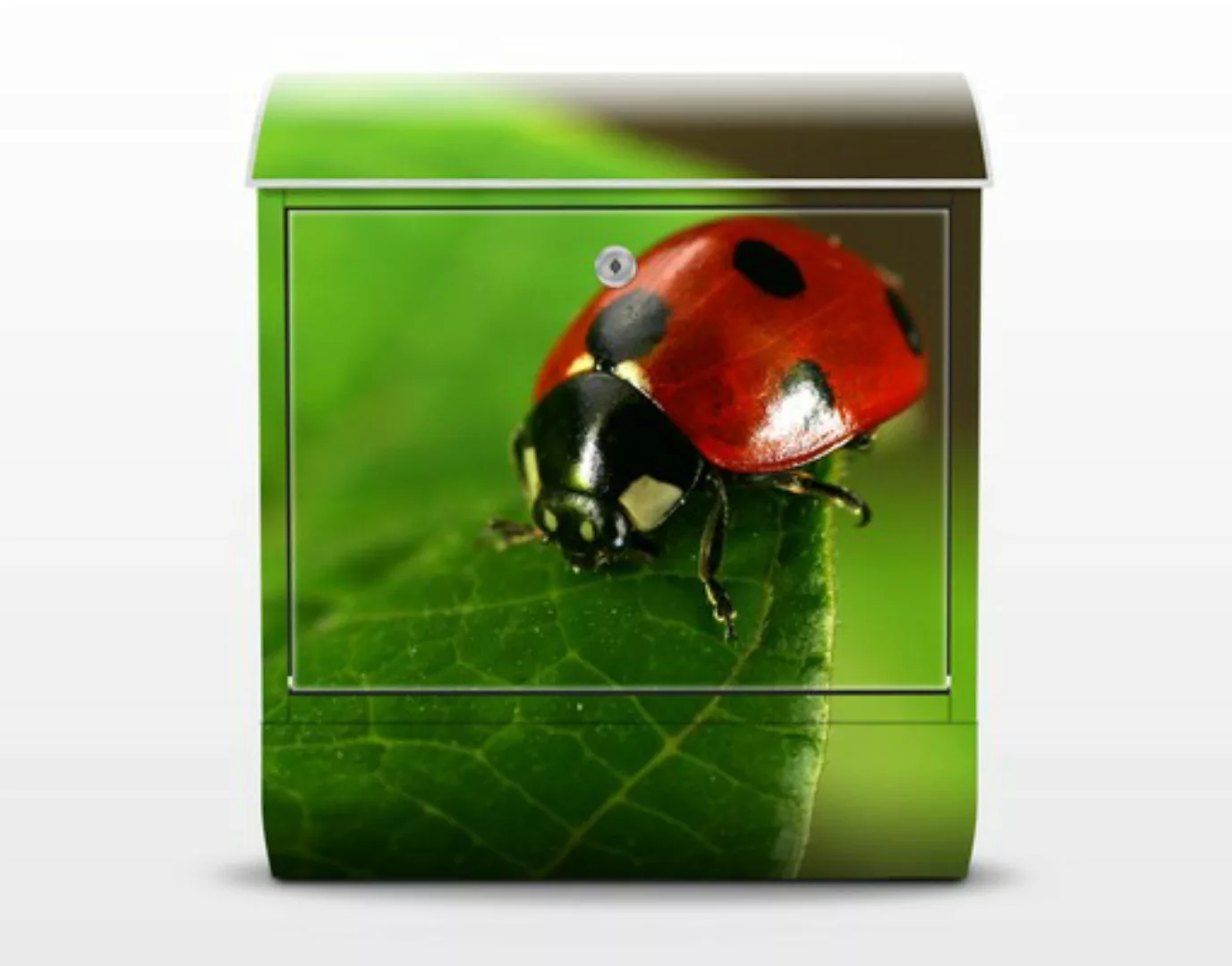 Briefkasten Tiere Lady Bird günstig online kaufen