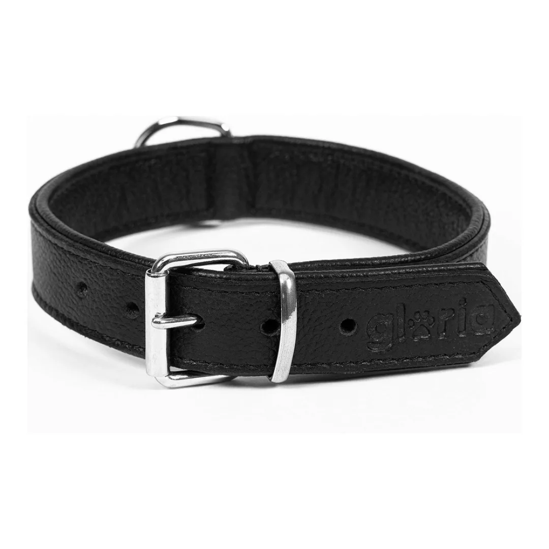 Hundehalsband Gloria Drymilled Schwarz (35 X 1,5 Cm) günstig online kaufen