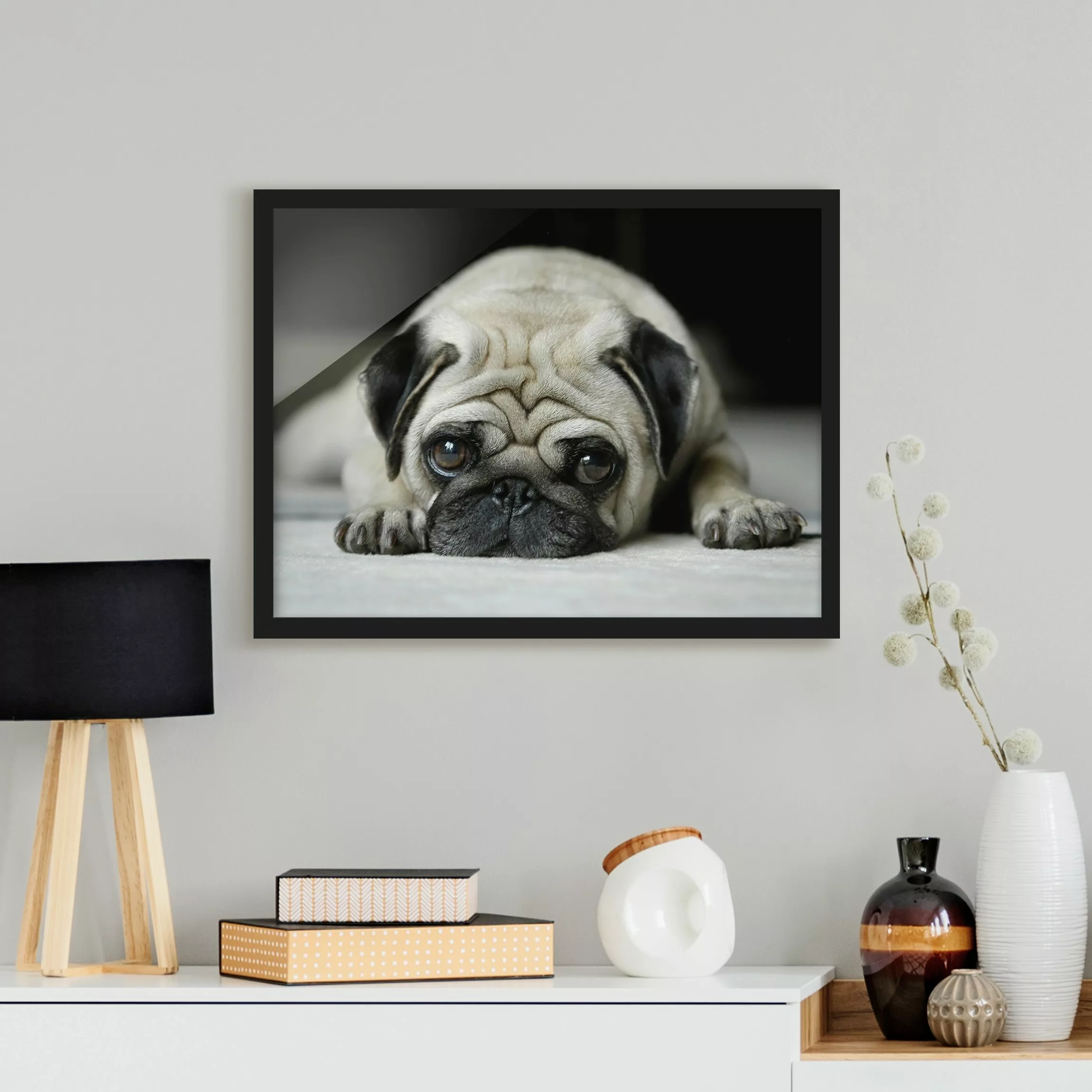 Bild mit Rahmen Tiere - Querformat Pug Loves You günstig online kaufen