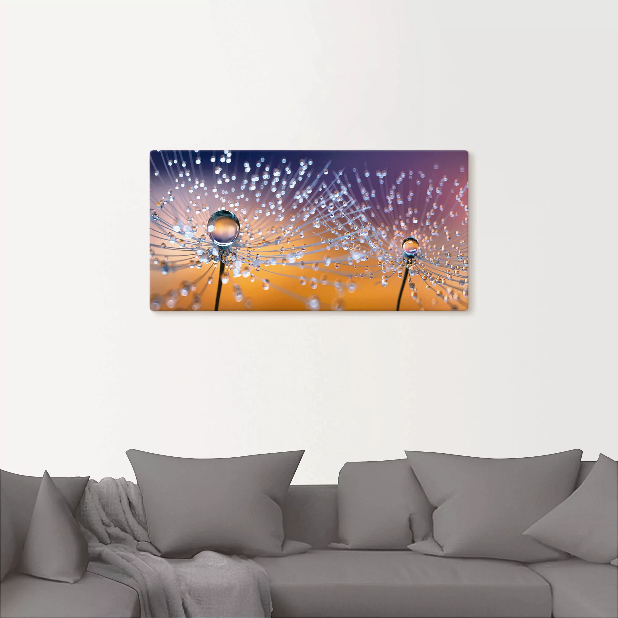 Artland Wandbild »Pusteblumen Tautropfen«, Blumenbilder, (1 St.), als Alubi günstig online kaufen