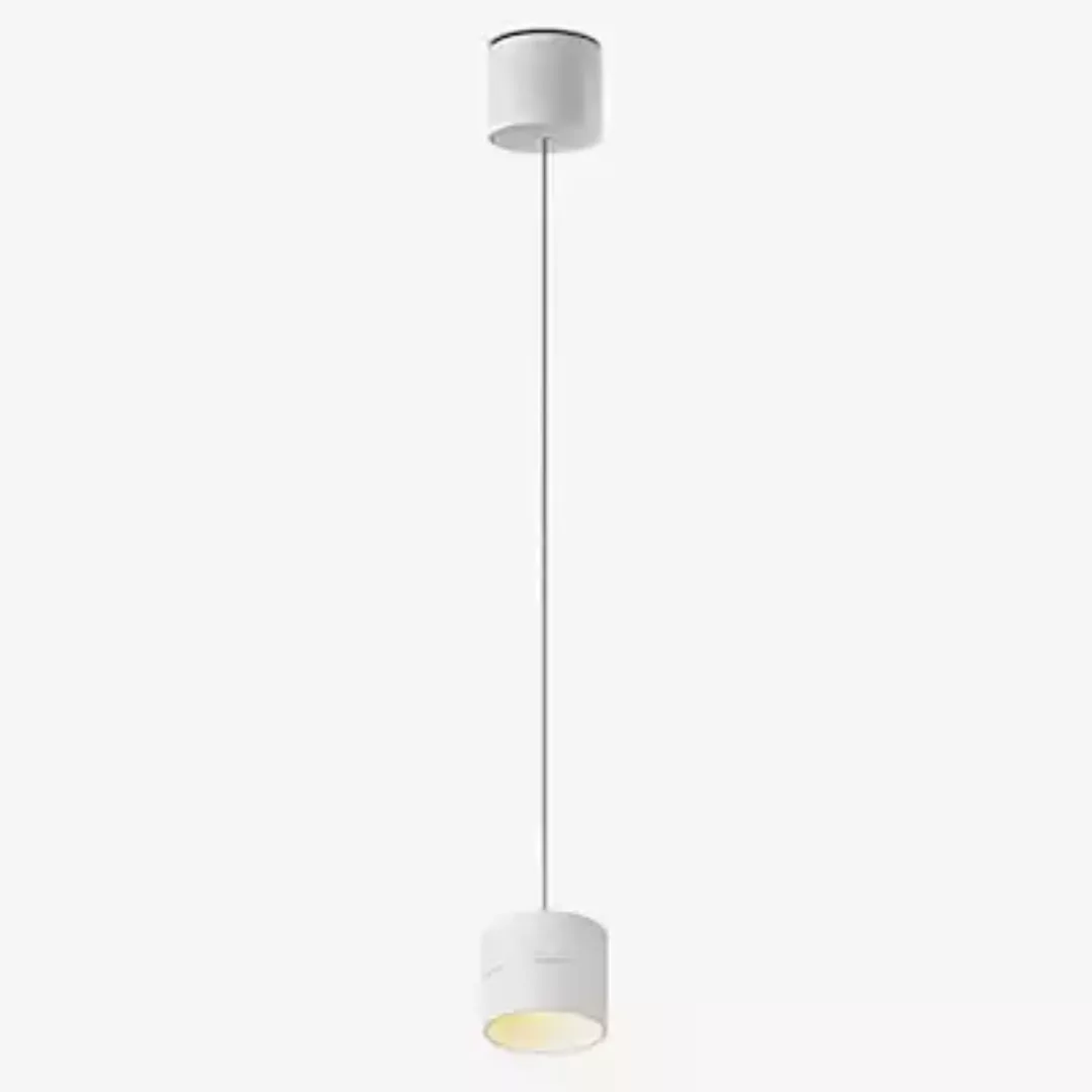 Oligo Tudor Pendelleuchte LED - unsichtbar höhenverstellbar, Baldachin weiß günstig online kaufen