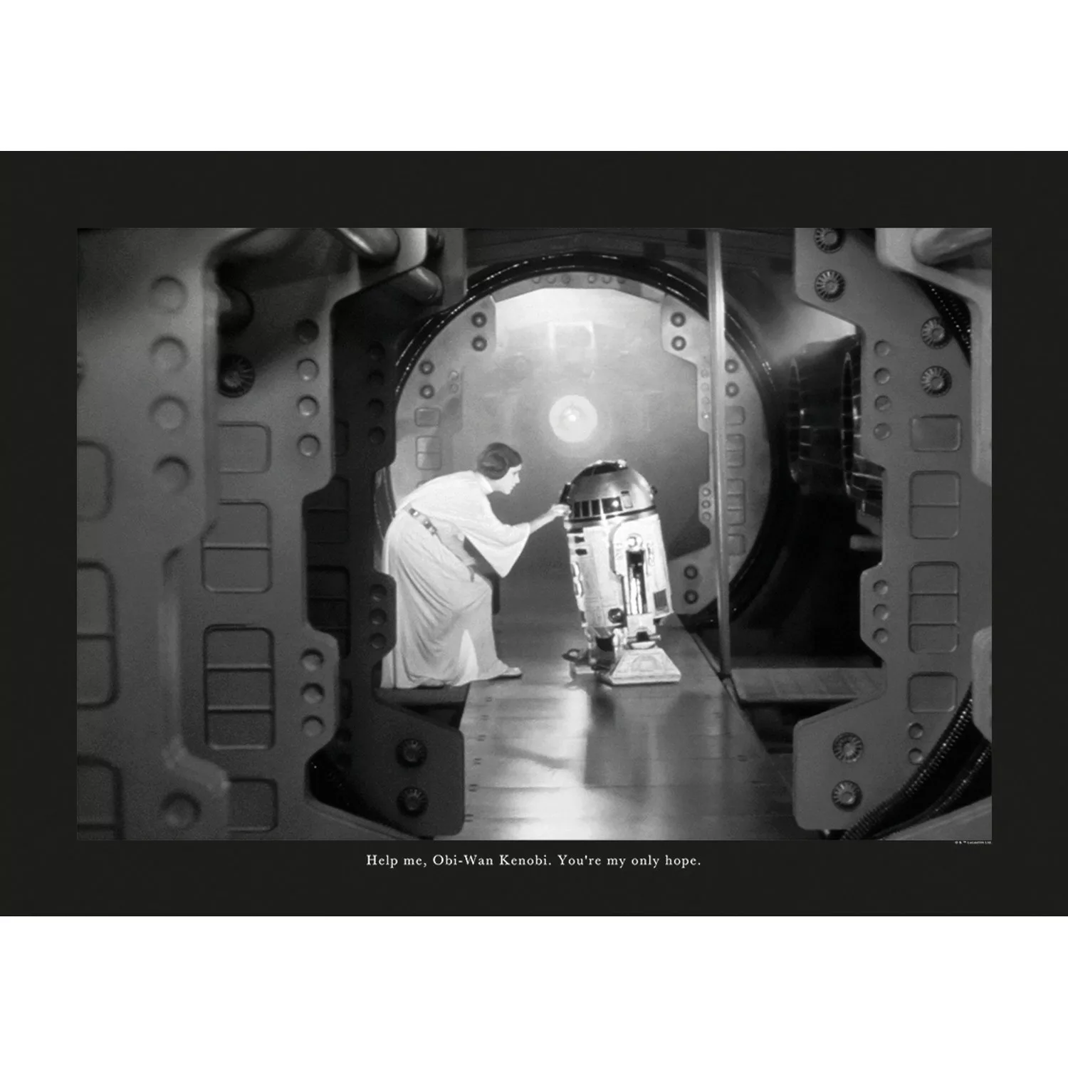 Komar Wandbild Star Wars Quote 70 x 50 cm günstig online kaufen