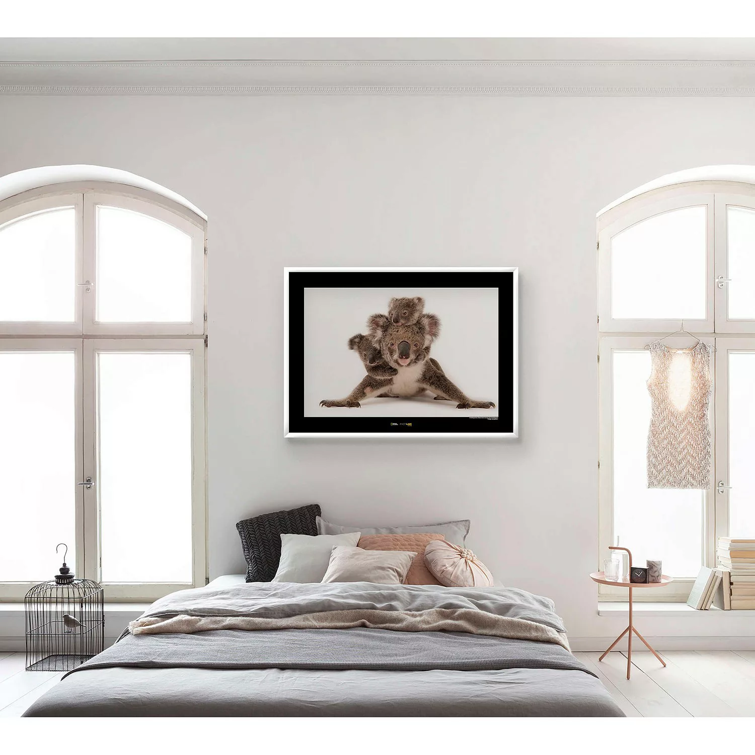 KOMAR Wandbild - Koala - Größe: 70 x 50 cm mehrfarbig Gr. one size günstig online kaufen
