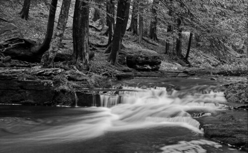 Papermoon Fototapete »Wasserfall Schwarz & Weiß« günstig online kaufen