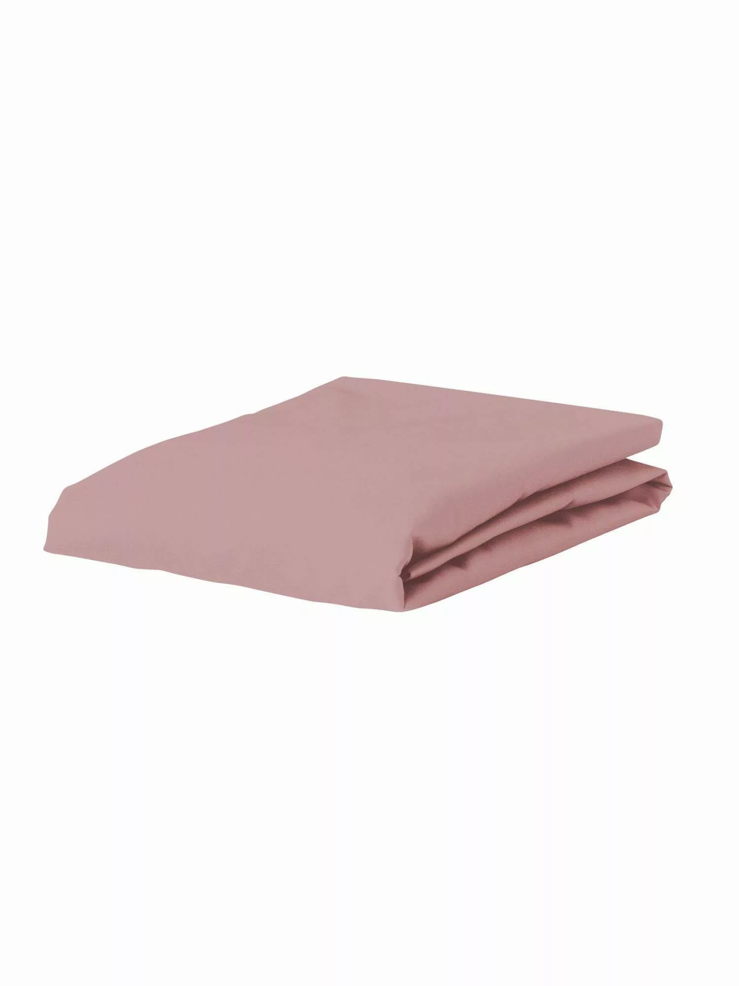 Essenza Spannbettlaken Premium Percale, Perkal, Gummizug: günstig online kaufen
