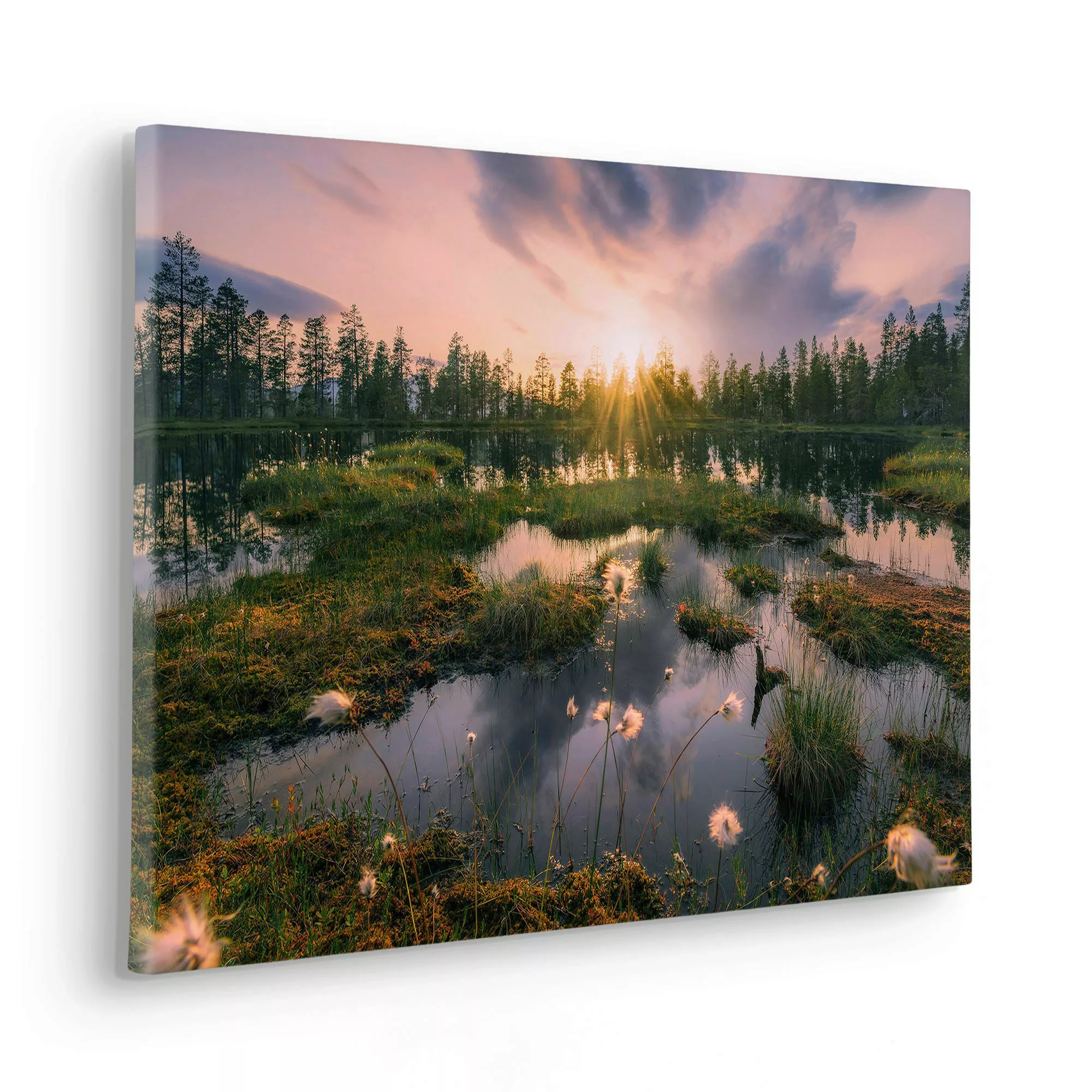 Komar Leinwandbild »Gloomy Swamps«, Baum-Blätter-Natur-Berge-Blumen-Foto-Ja günstig online kaufen