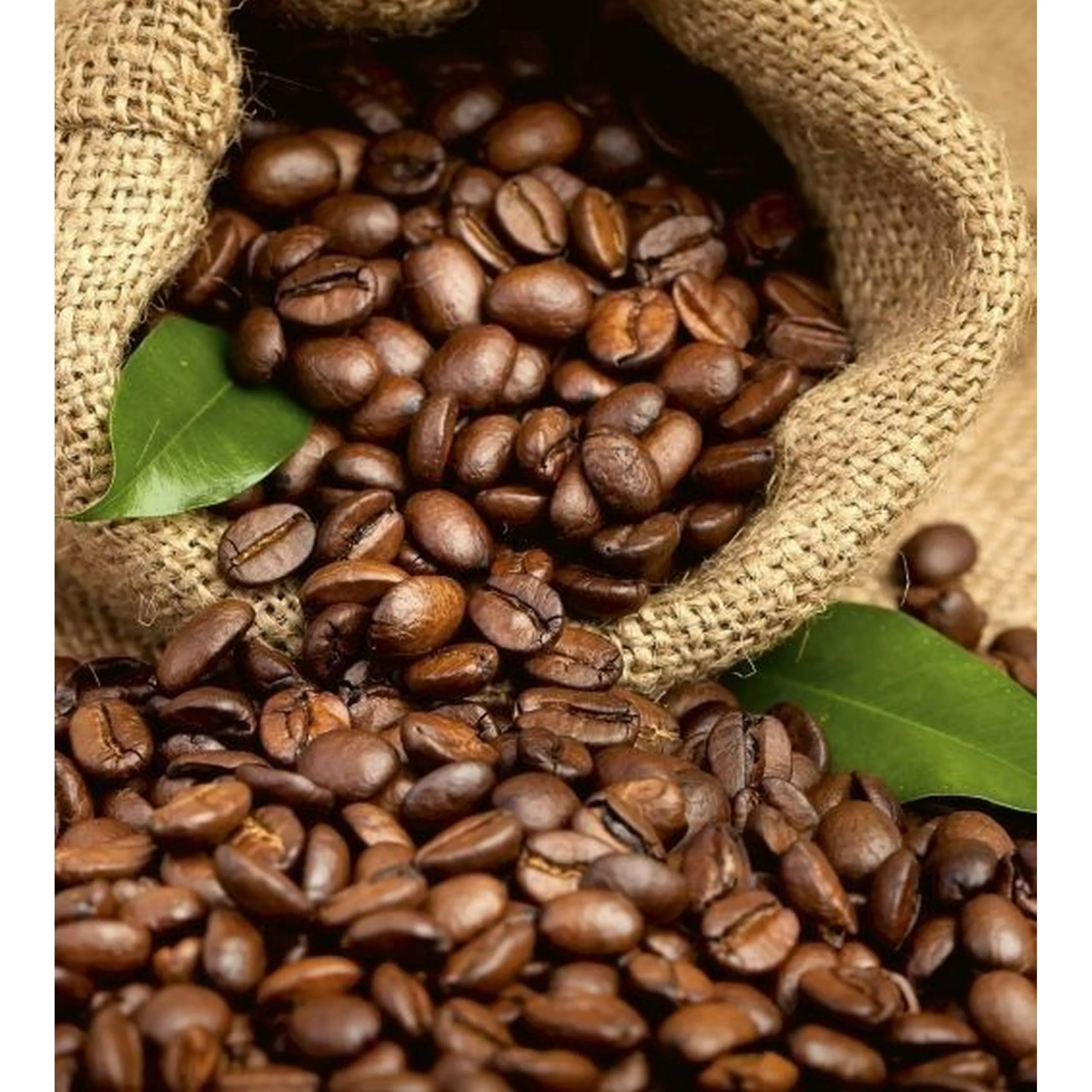 Fototapete COFFEE BEANS  | MS-3-0244 | Braun | Digitaldruck auf Vliesträger günstig online kaufen