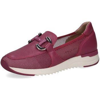 Caprice  Damenschuhe Slipper  9 24536 42 597 günstig online kaufen